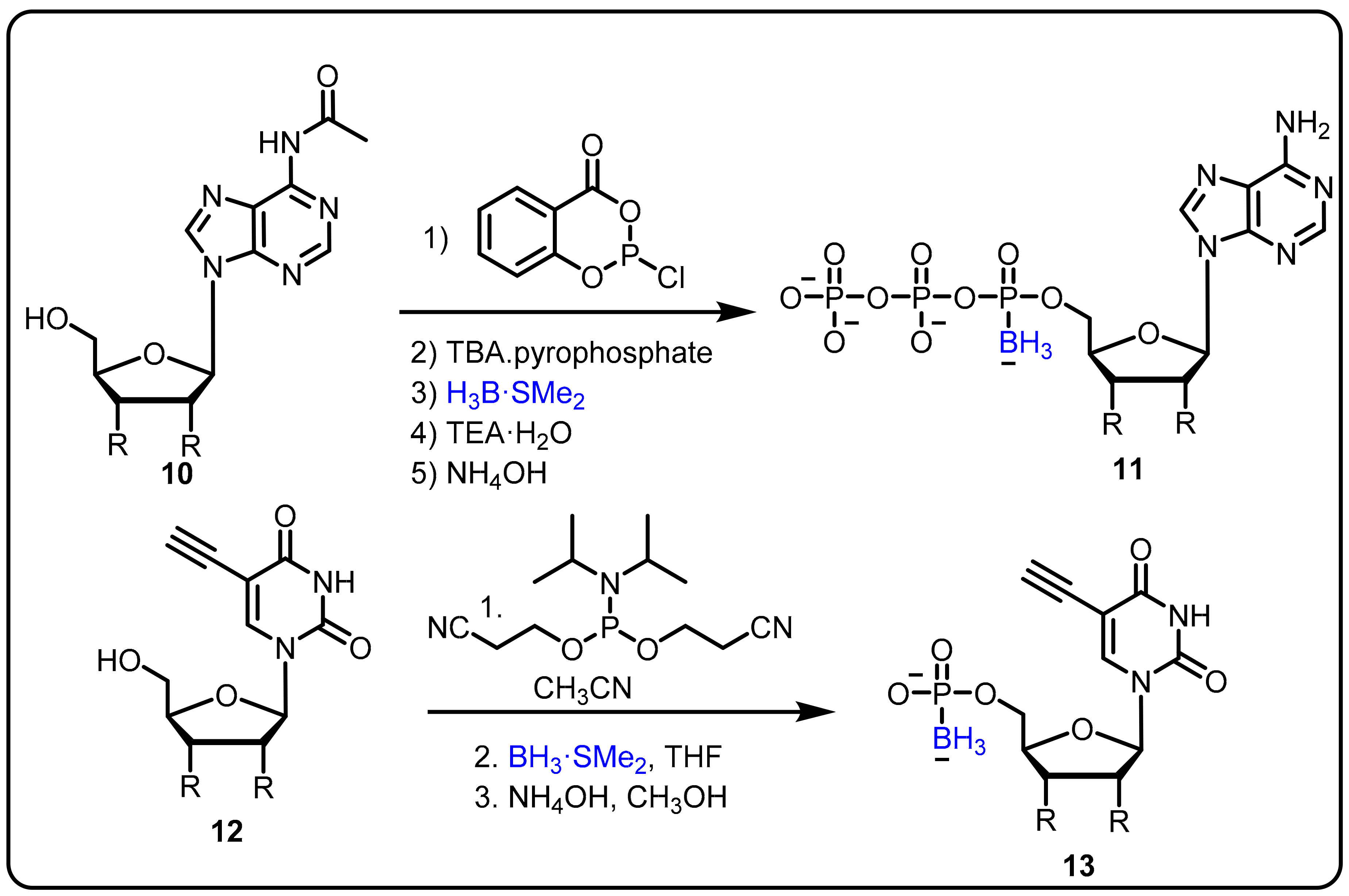Molecules 27 02615 sch004