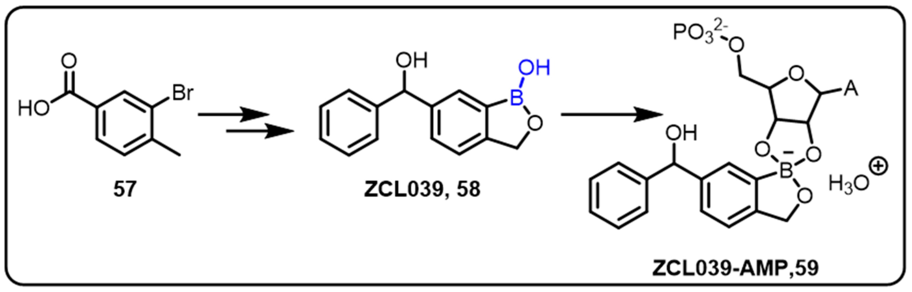 Molecules 27 02615 sch017