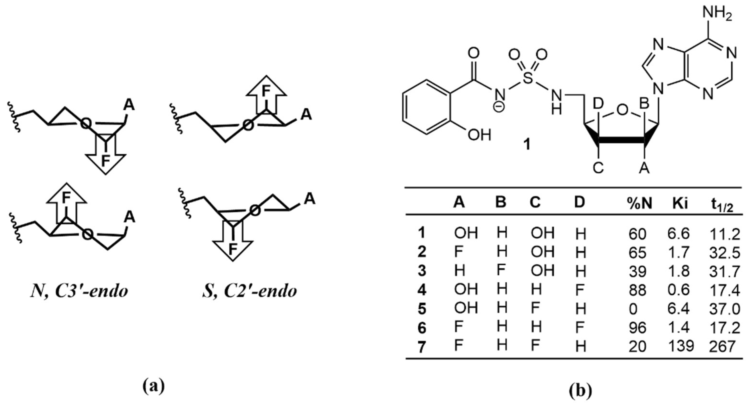 Molecules 27 02616 g001 Molecules 27 02616 g001