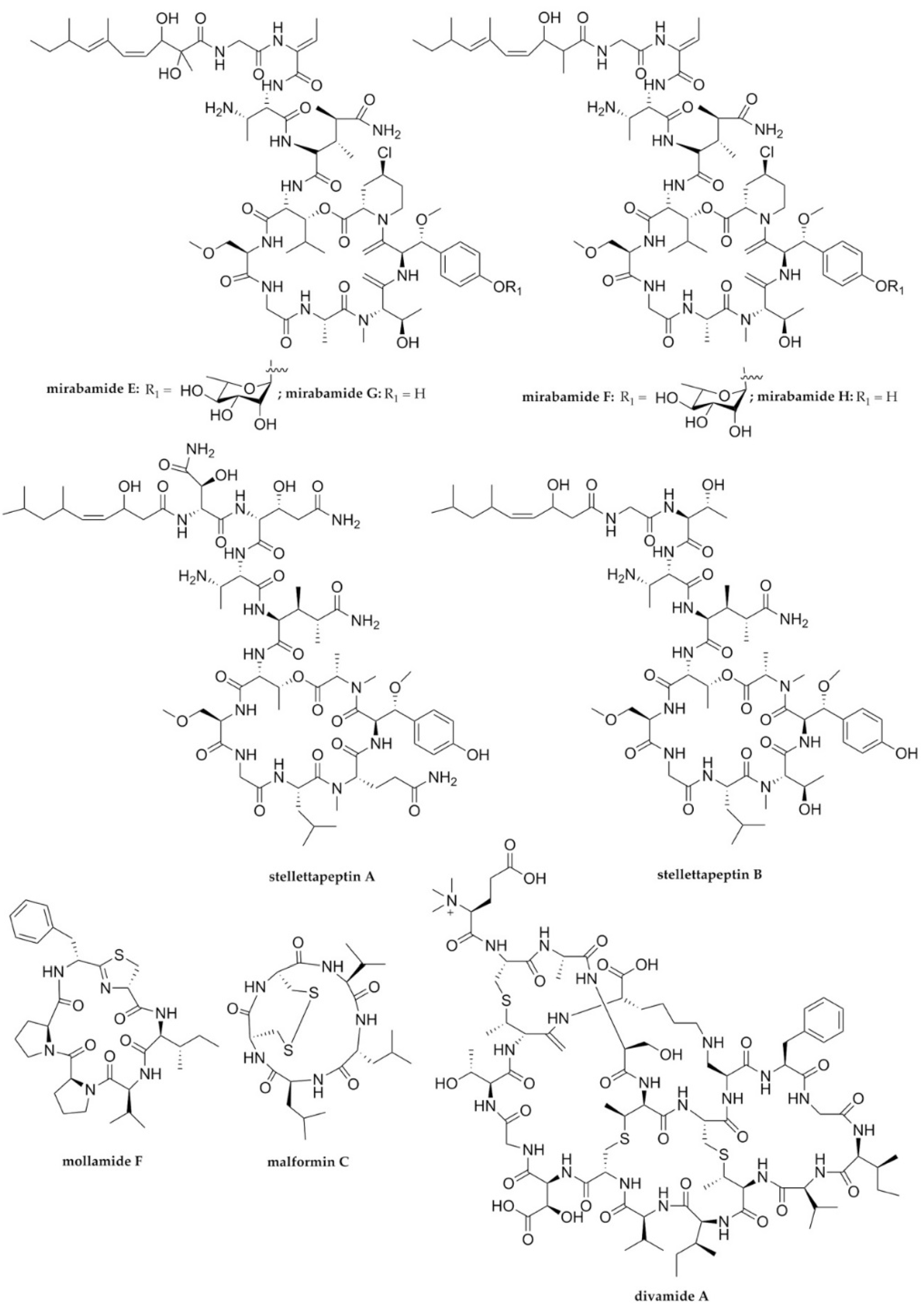 Molecules 27 02619 g002