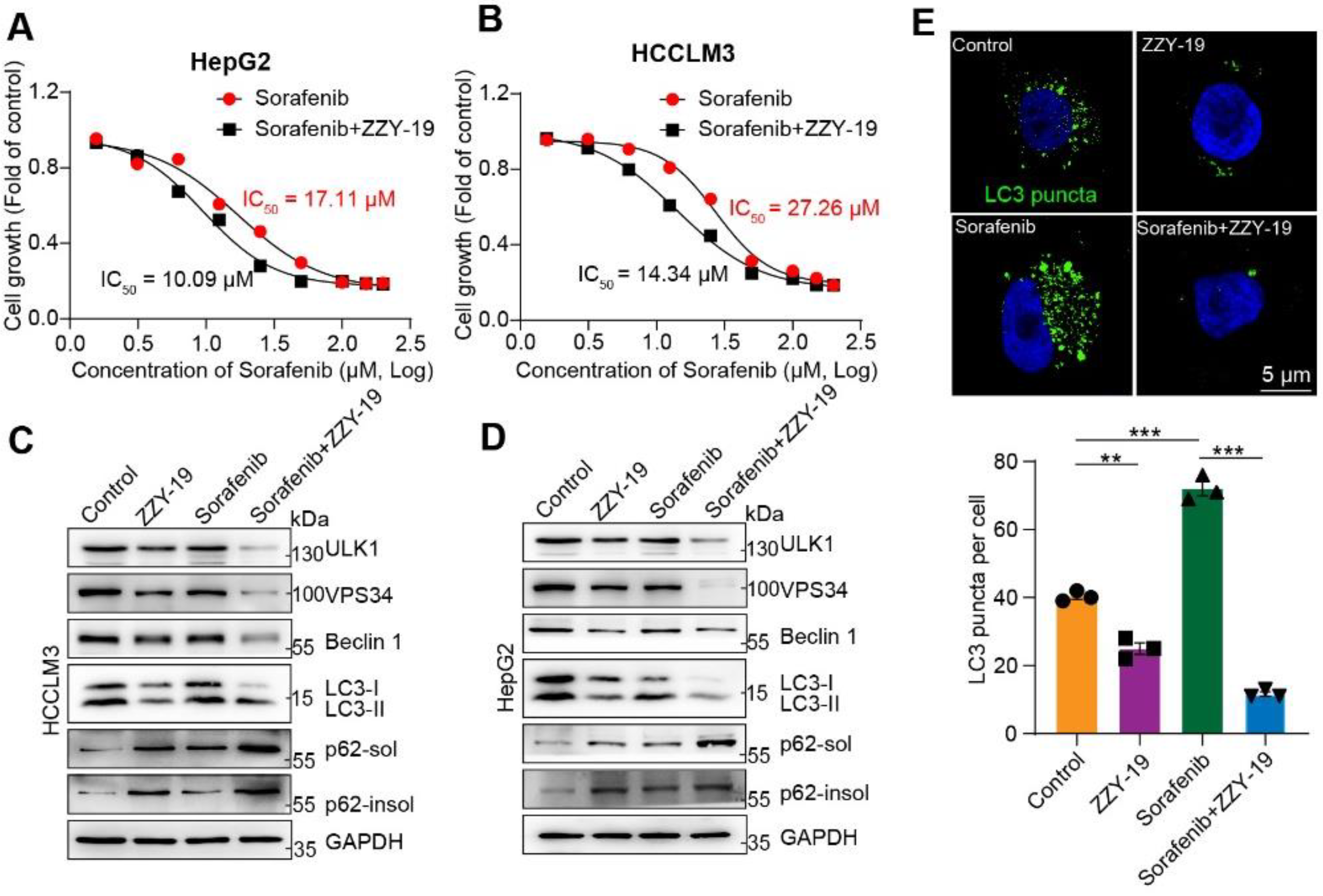 Molecules 27 02627 g007 Molecules 27 02627 g007