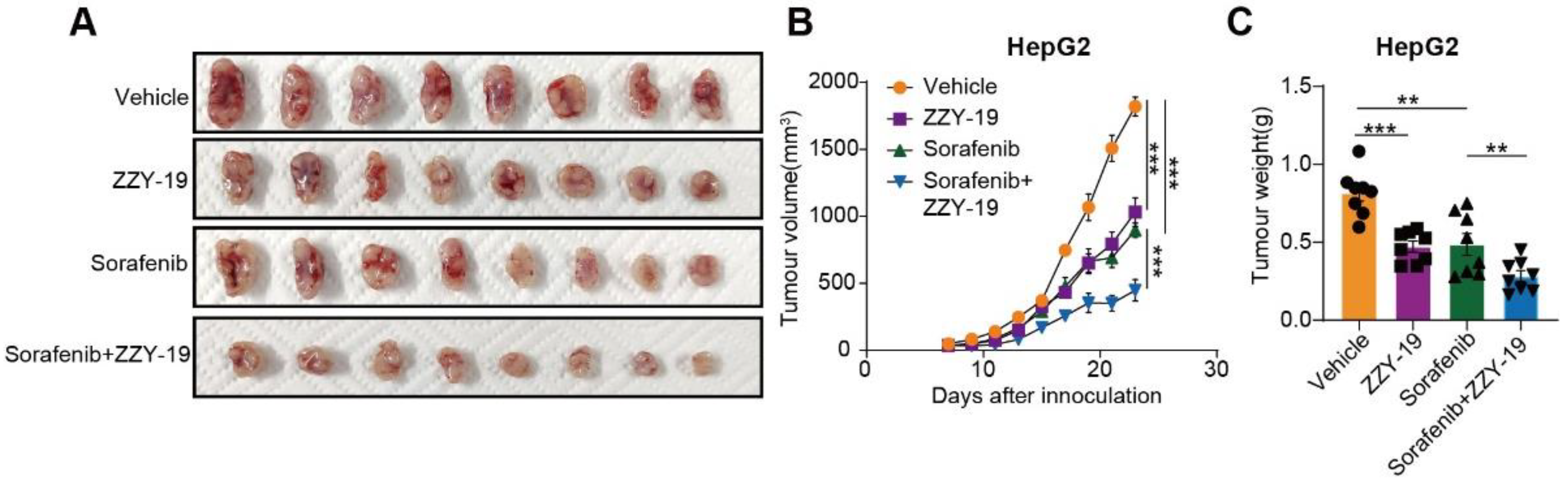 Molecules 27 02627 g008 Molecules 27 02627 g008
