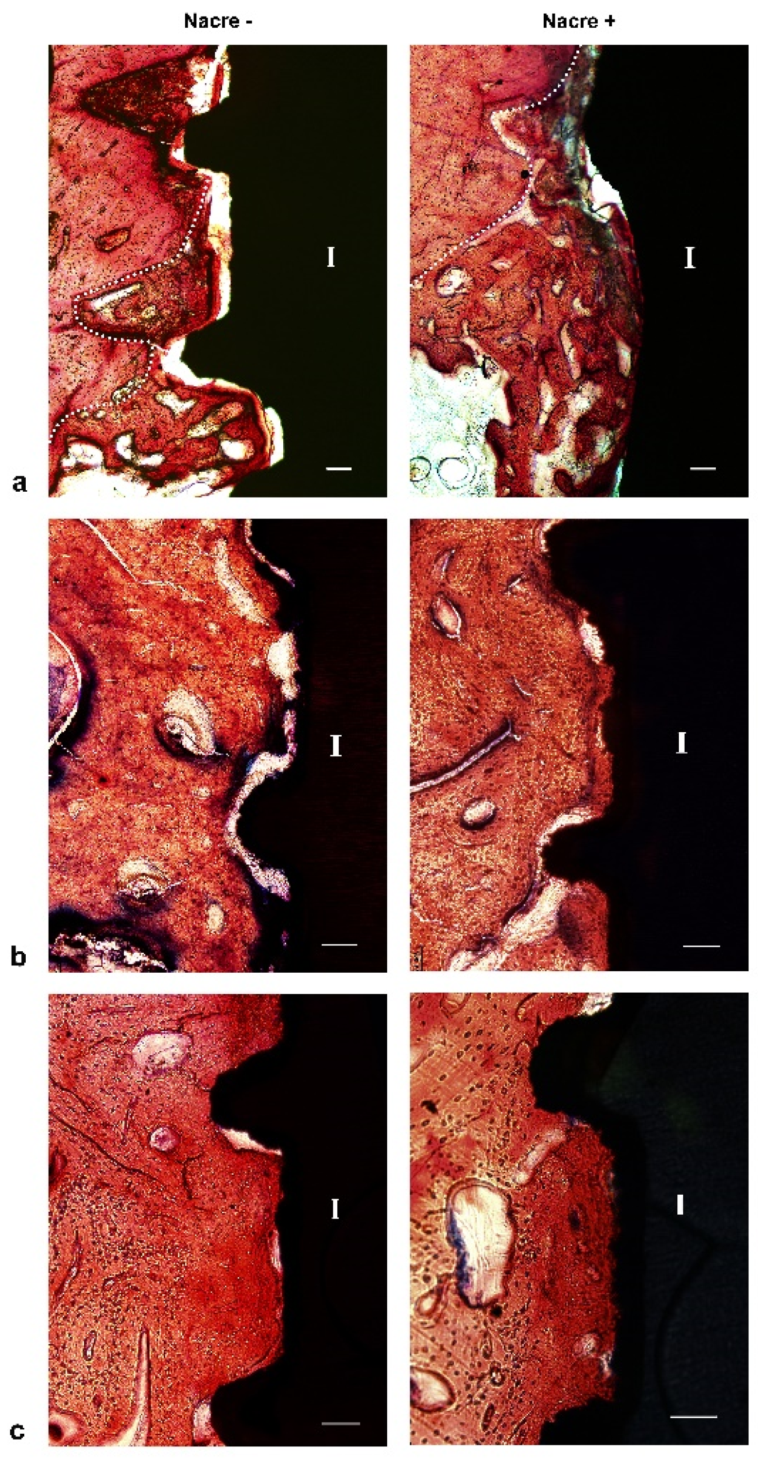 Molecules 27 02653 g005