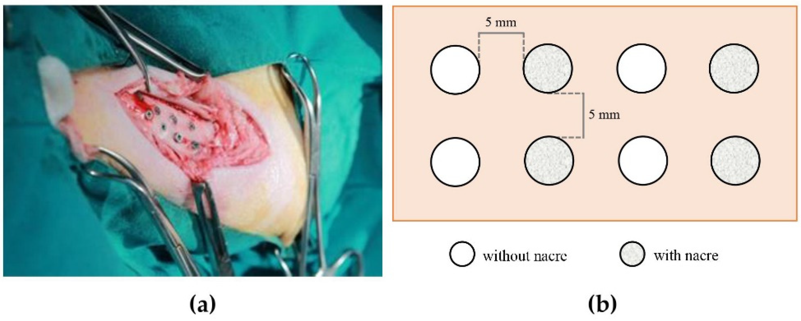 Molecules 27 02653 g007