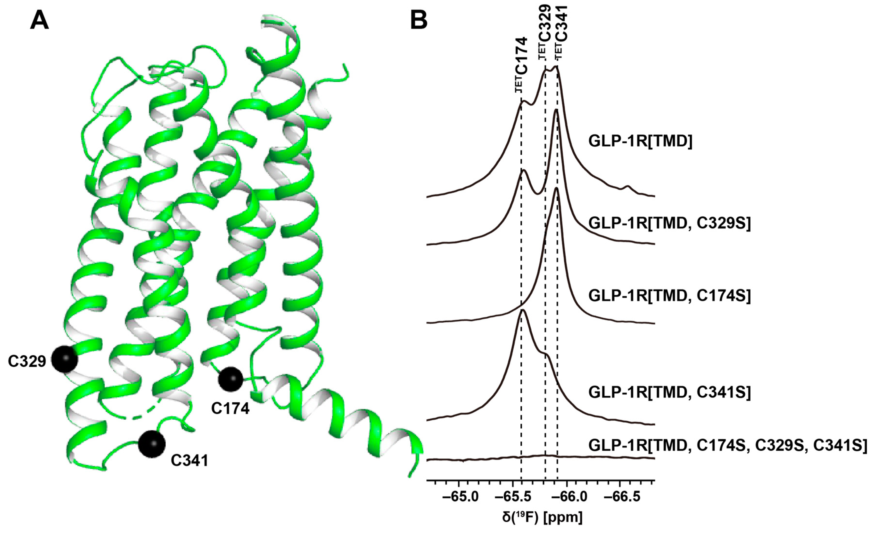 Molecules 27 02658 g004