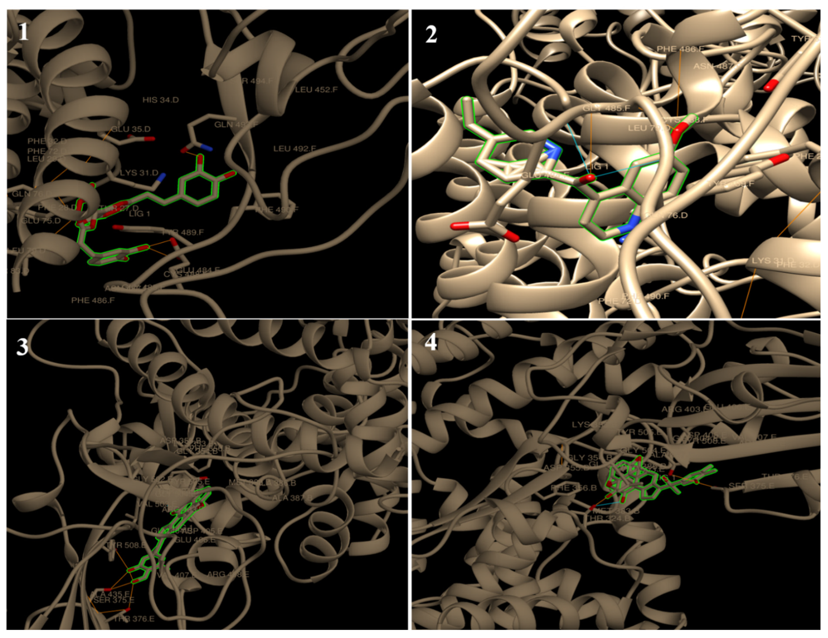 Molecules 27 02662 g004