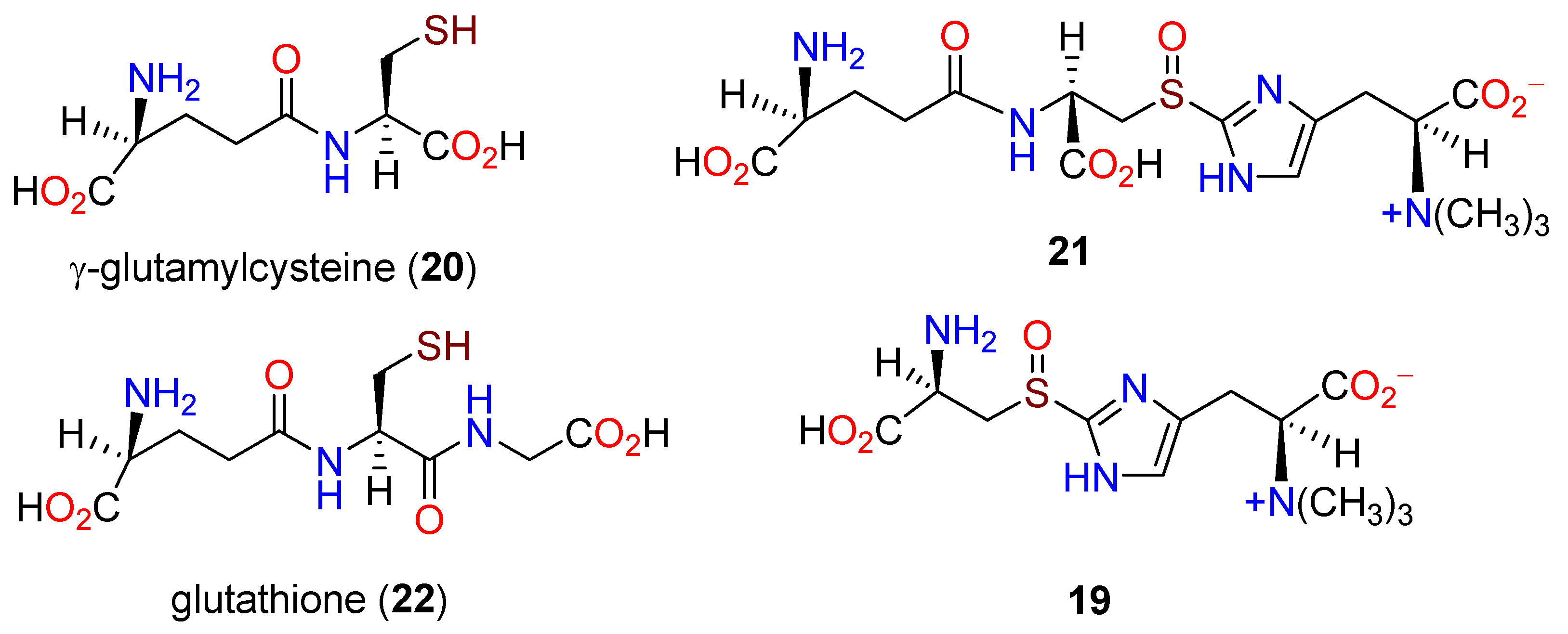 Molecules 27 02673 g004