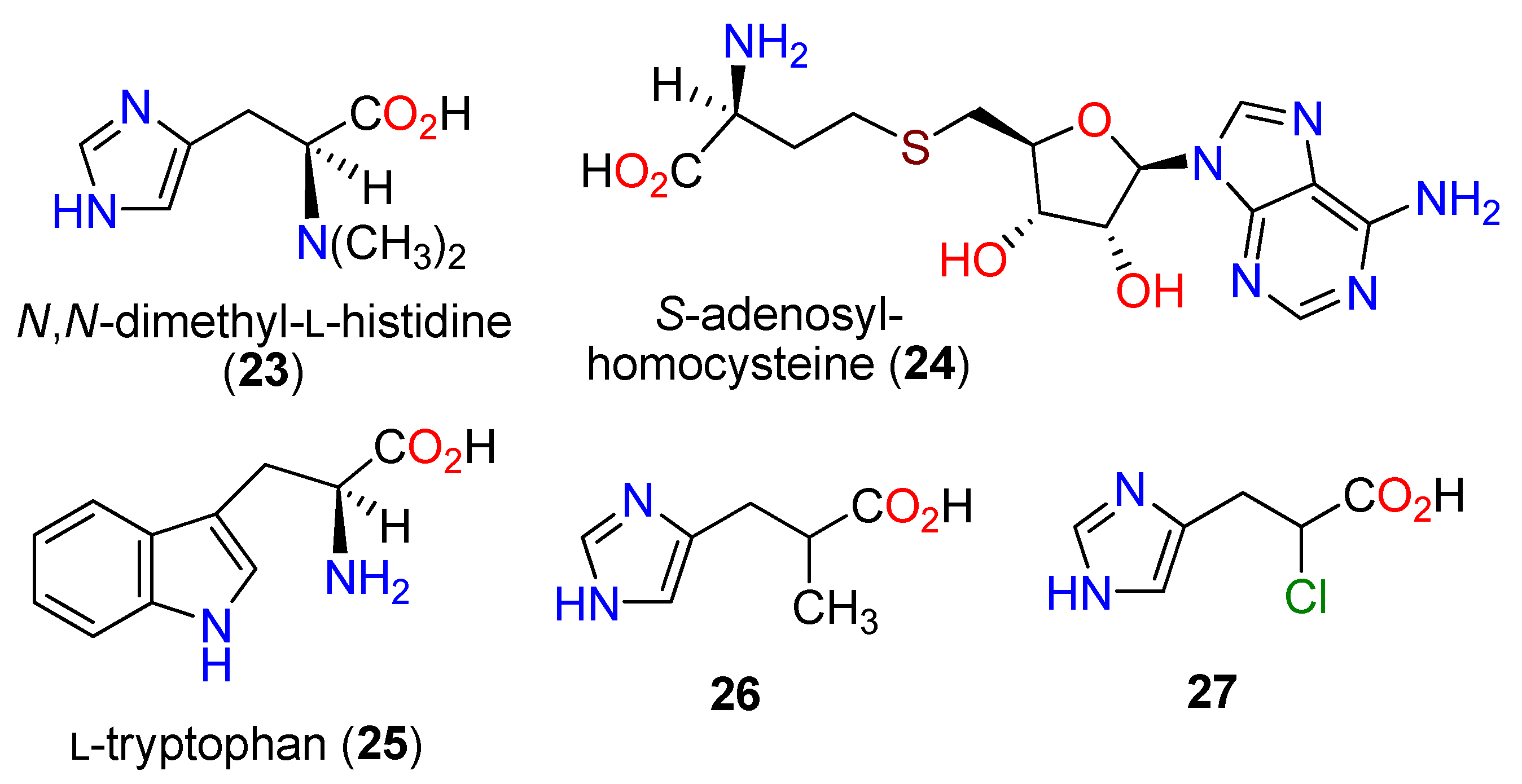 Molecules 27 02673 g005