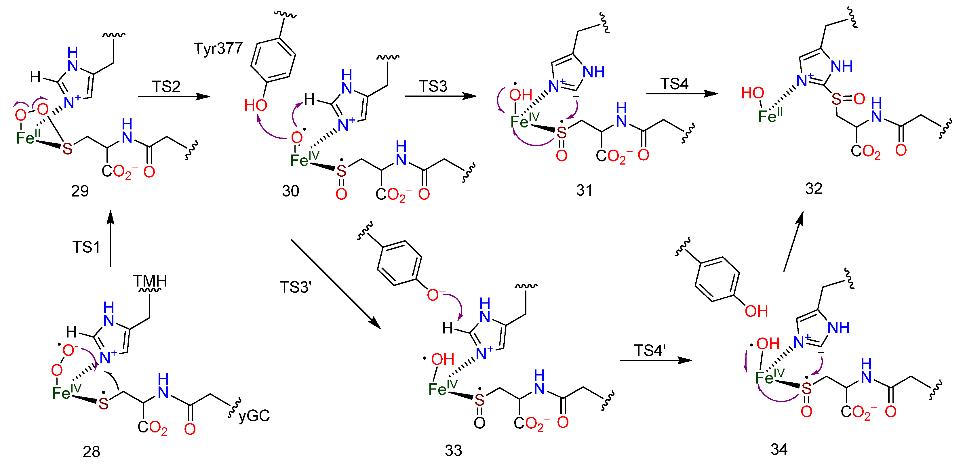 Molecules 27 02673 g006