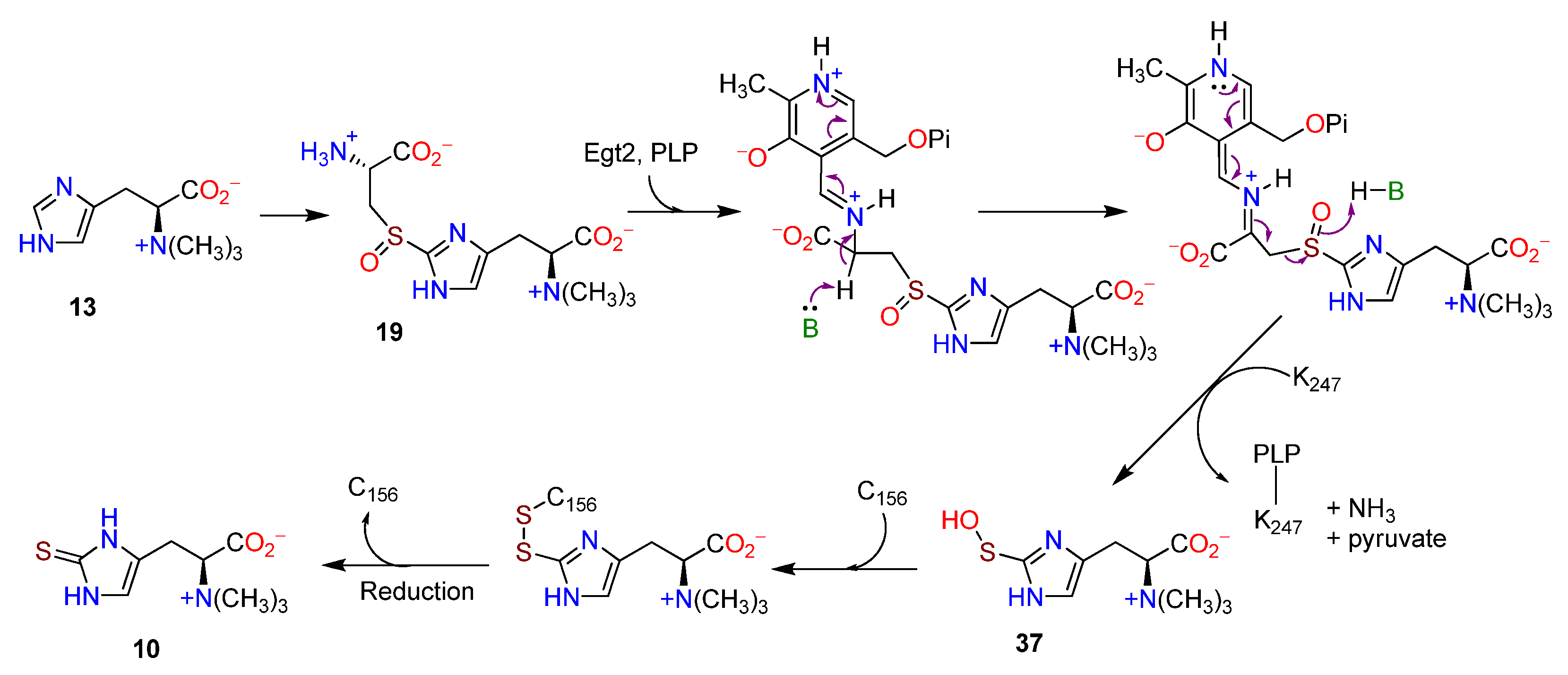 Molecules 27 02673 g008