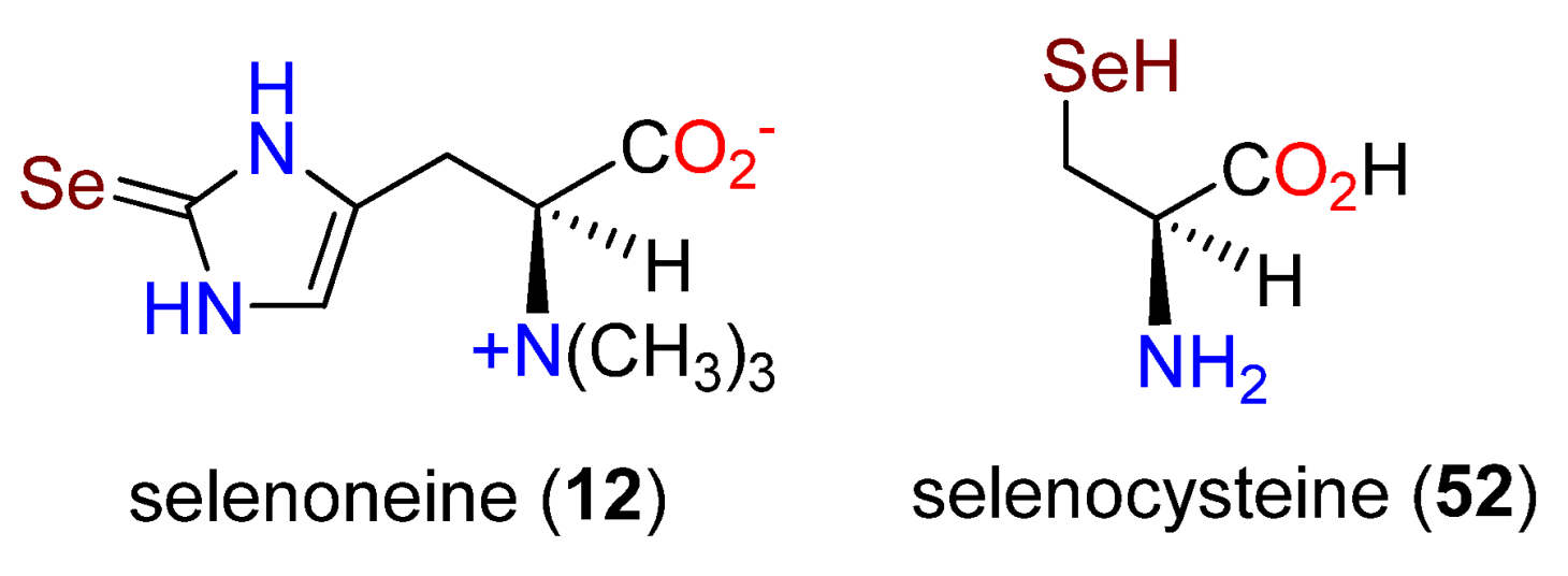 Molecules 27 02673 g016