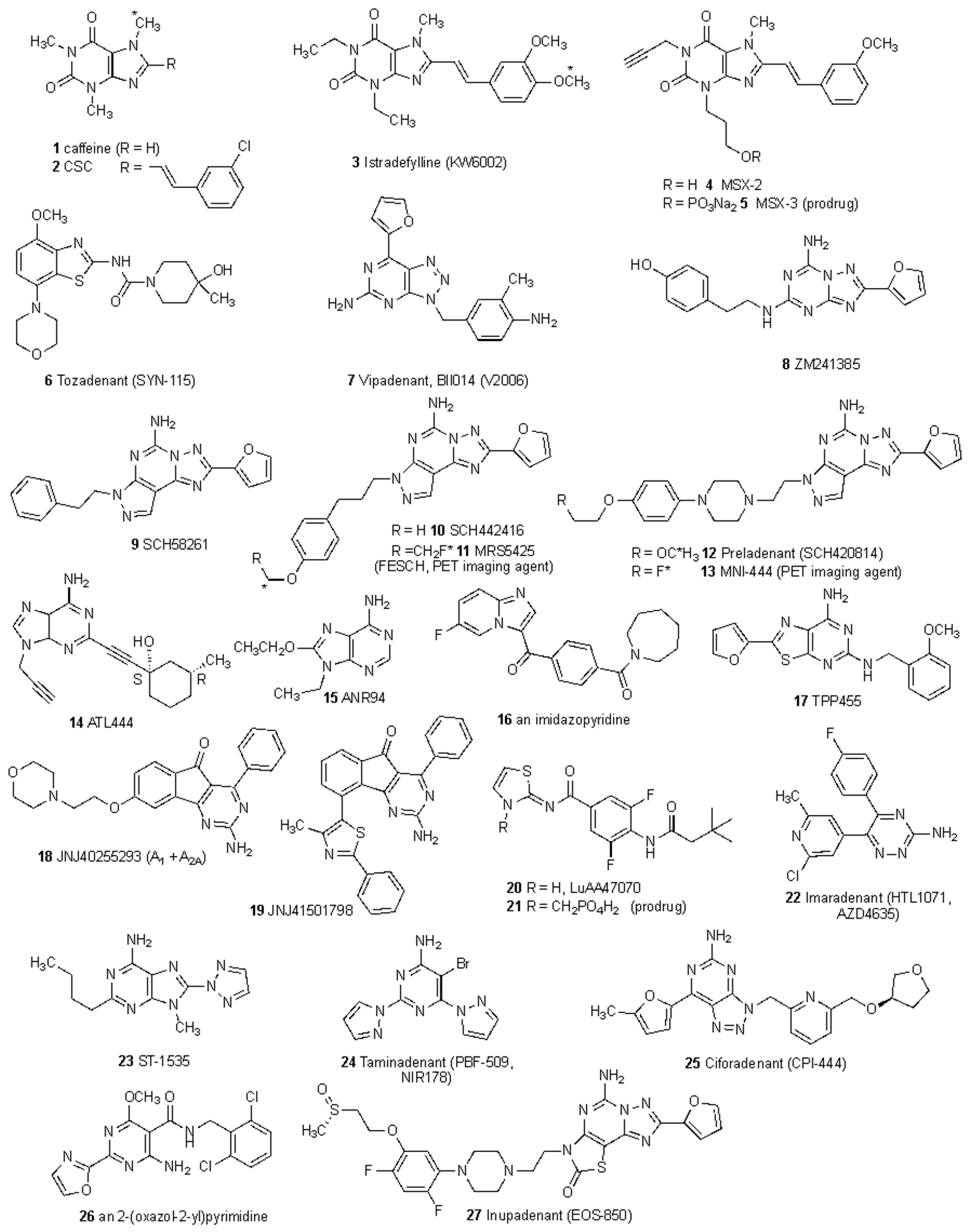 Adenosine Receptor Antagonists: Translating Medicinal Chemistry and  Pharmacology into Clinical Utility