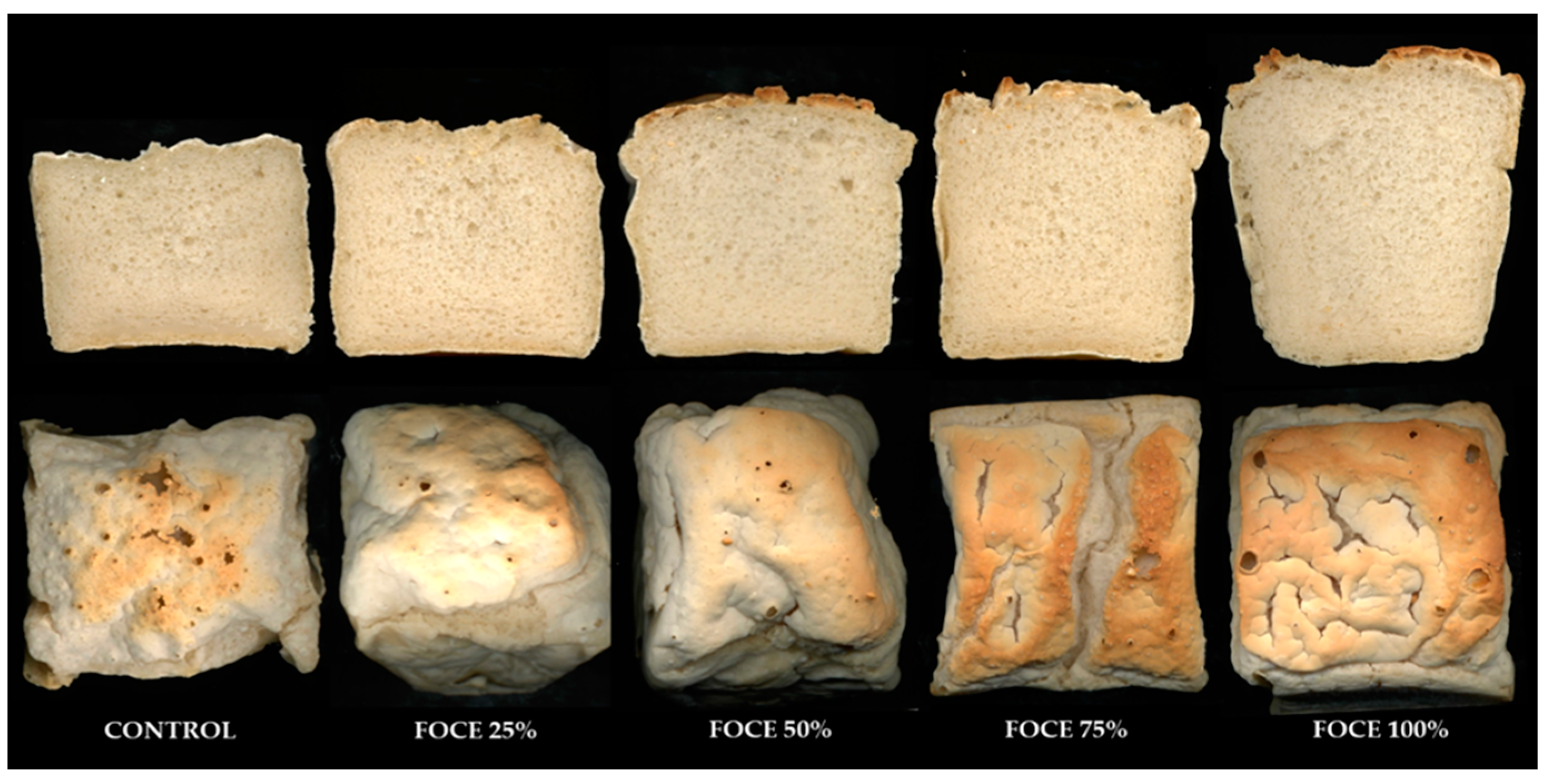 Balance For Weighing Bread by United Yeast Company . - Gilai Collectibles