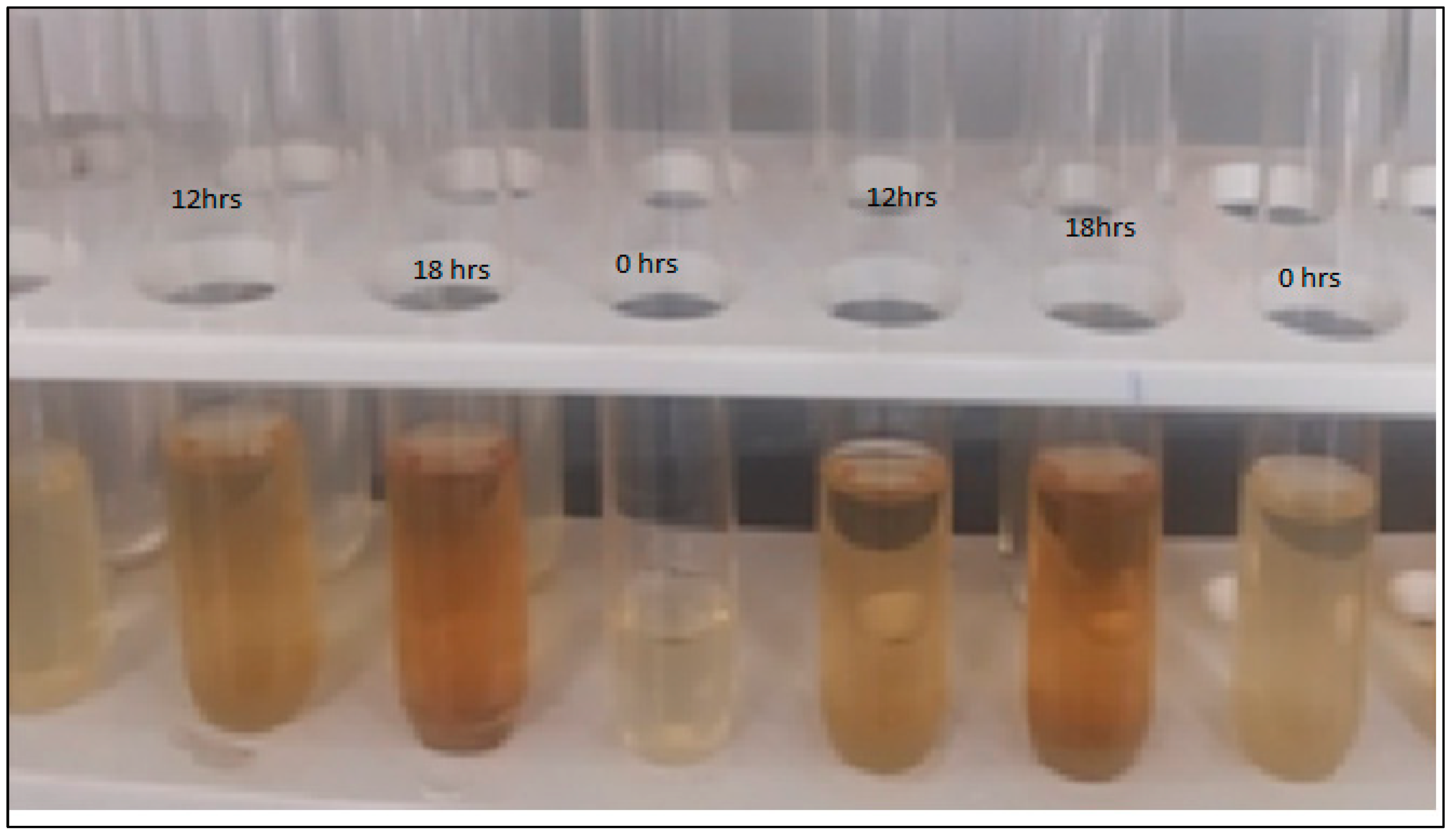 Molecules 27 02715 g004