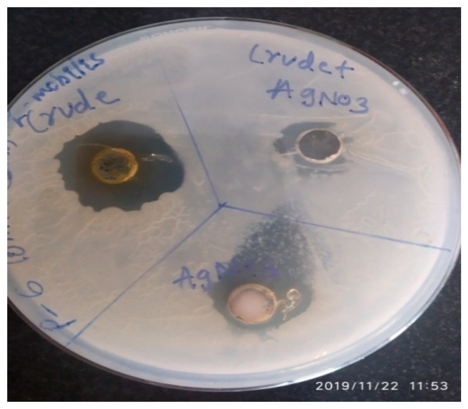 Molecules 27 02715 g006