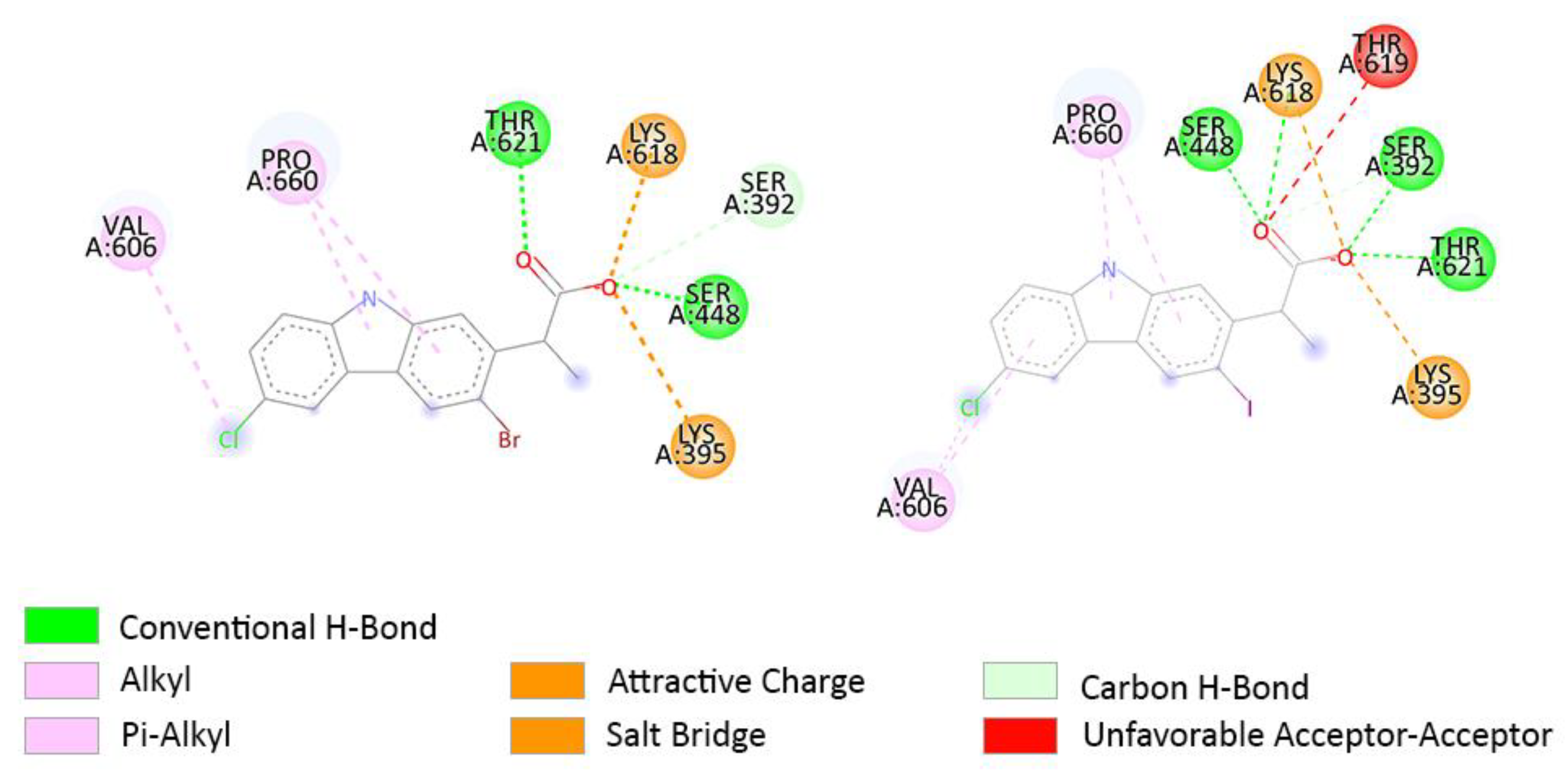 Molecules 27 02722 g011