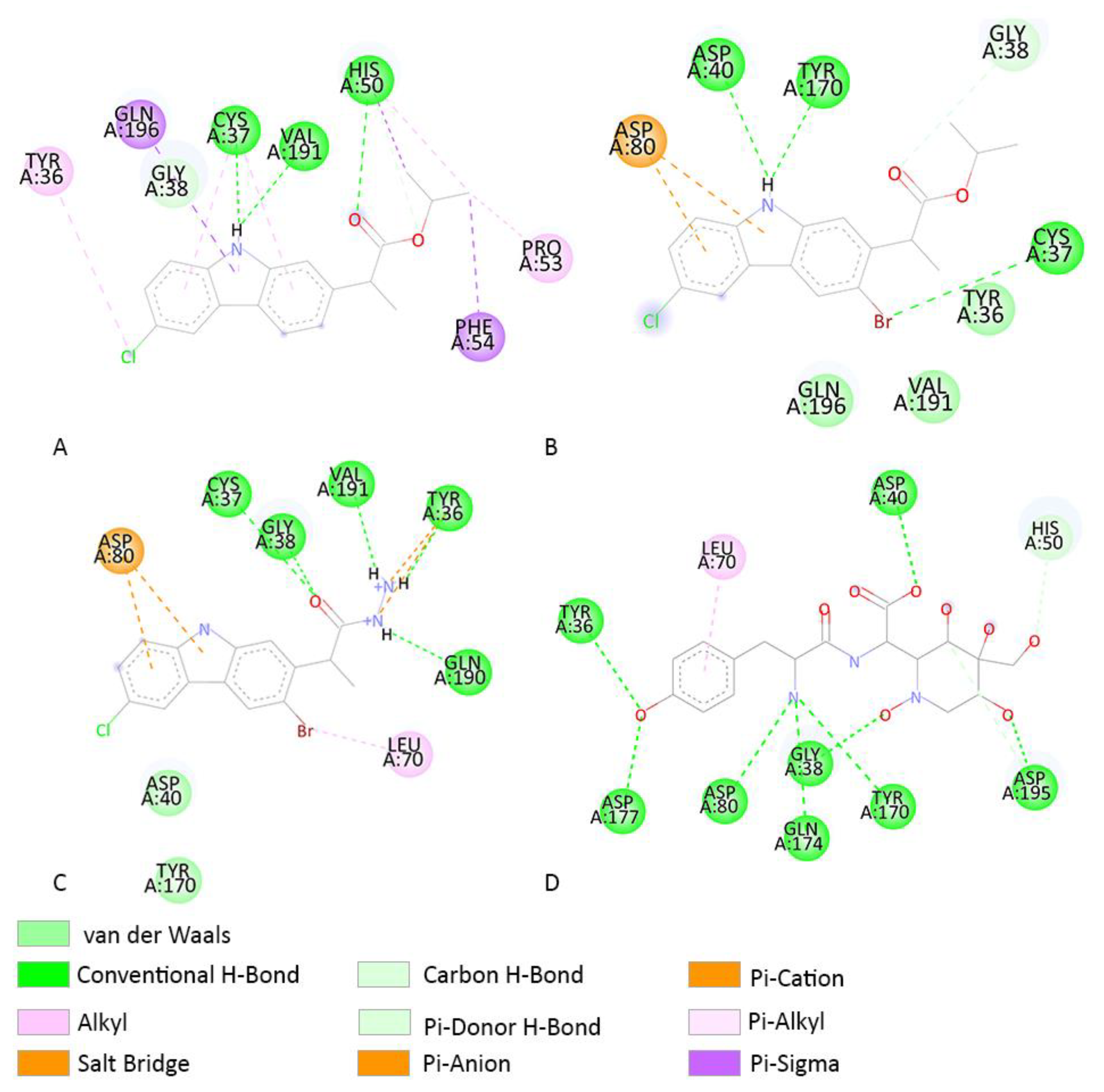 Molecules 27 02722 g012