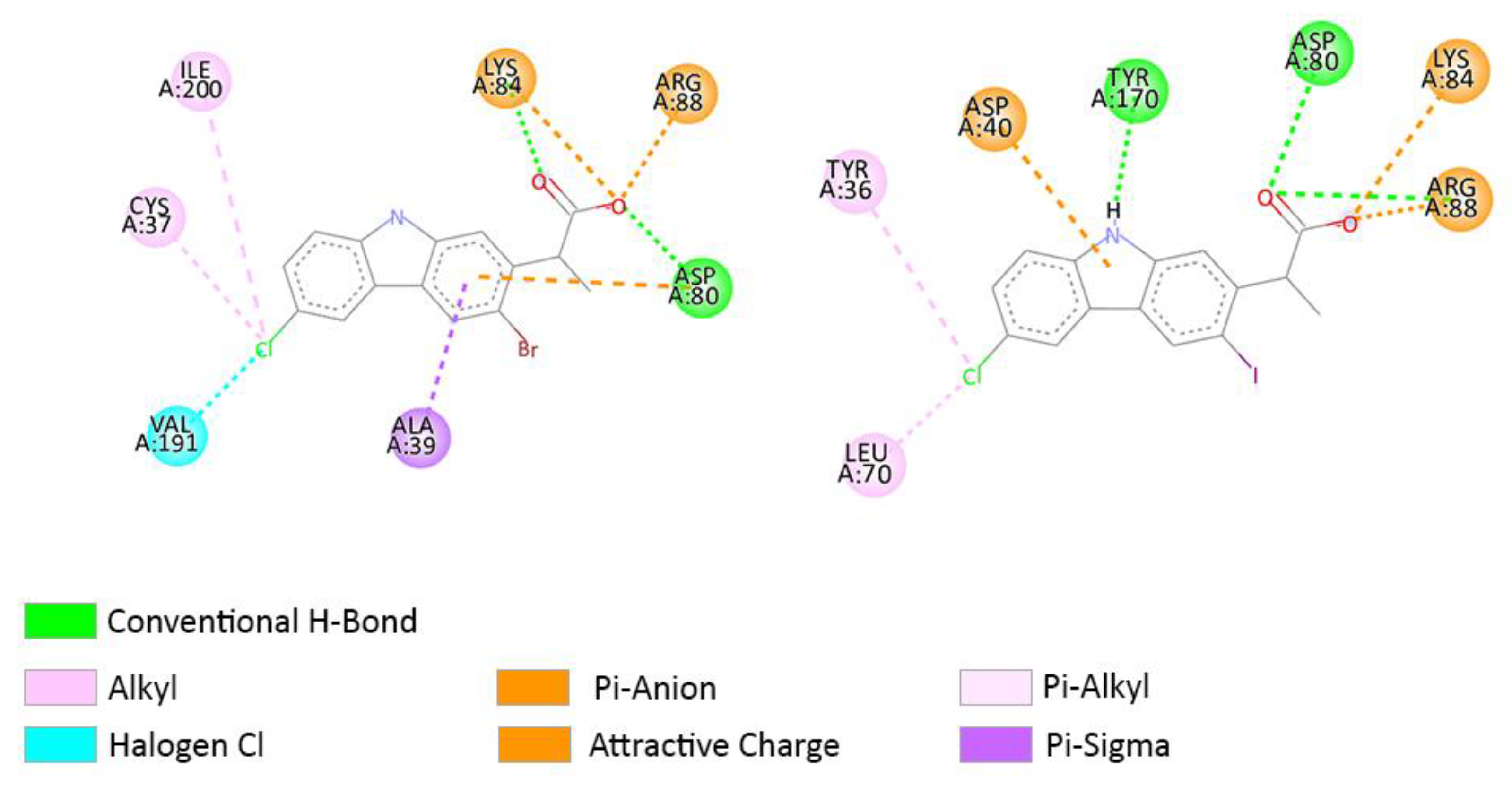 Molecules 27 02722 g013