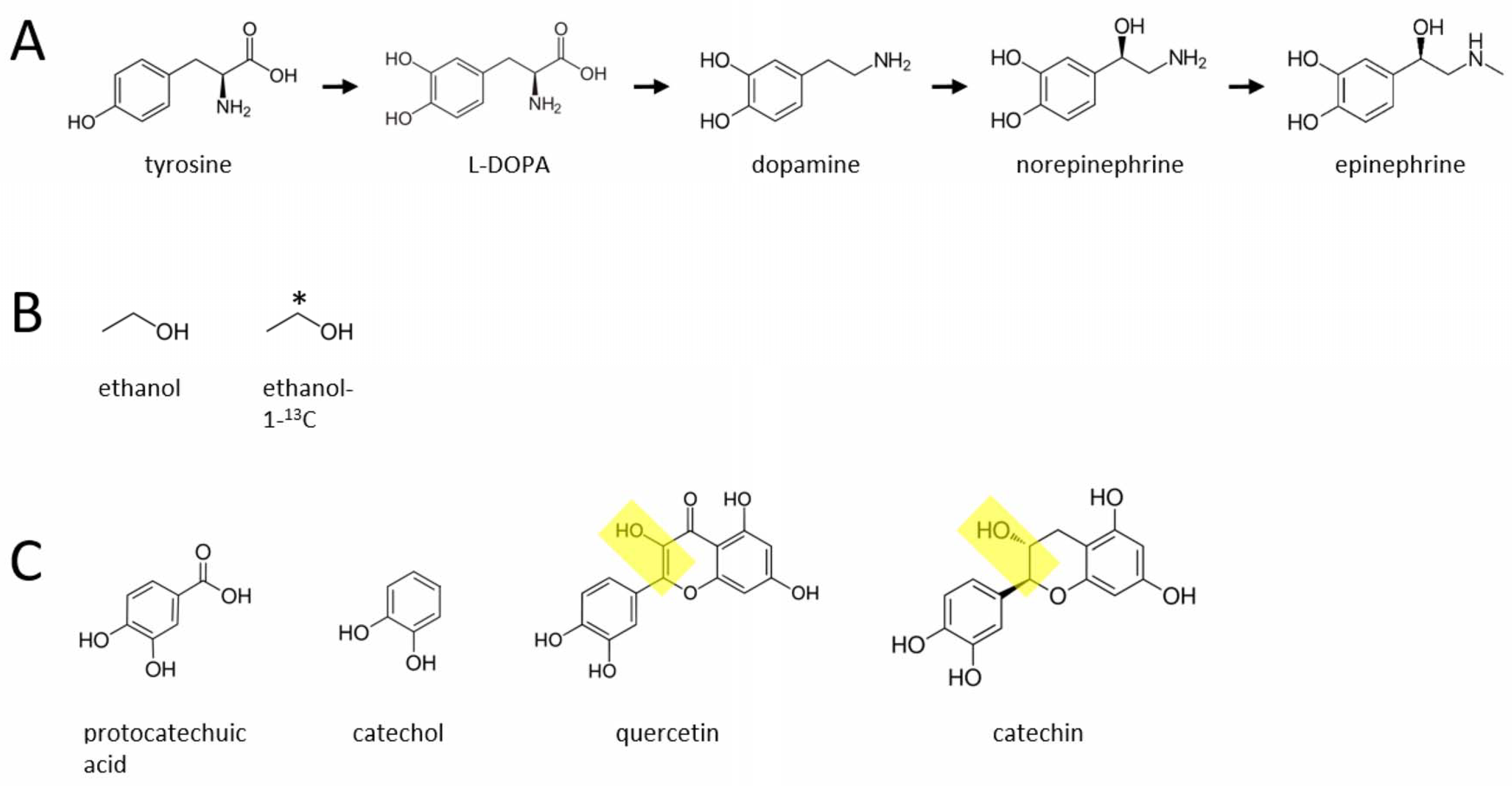 Molecules 27 02726 g001