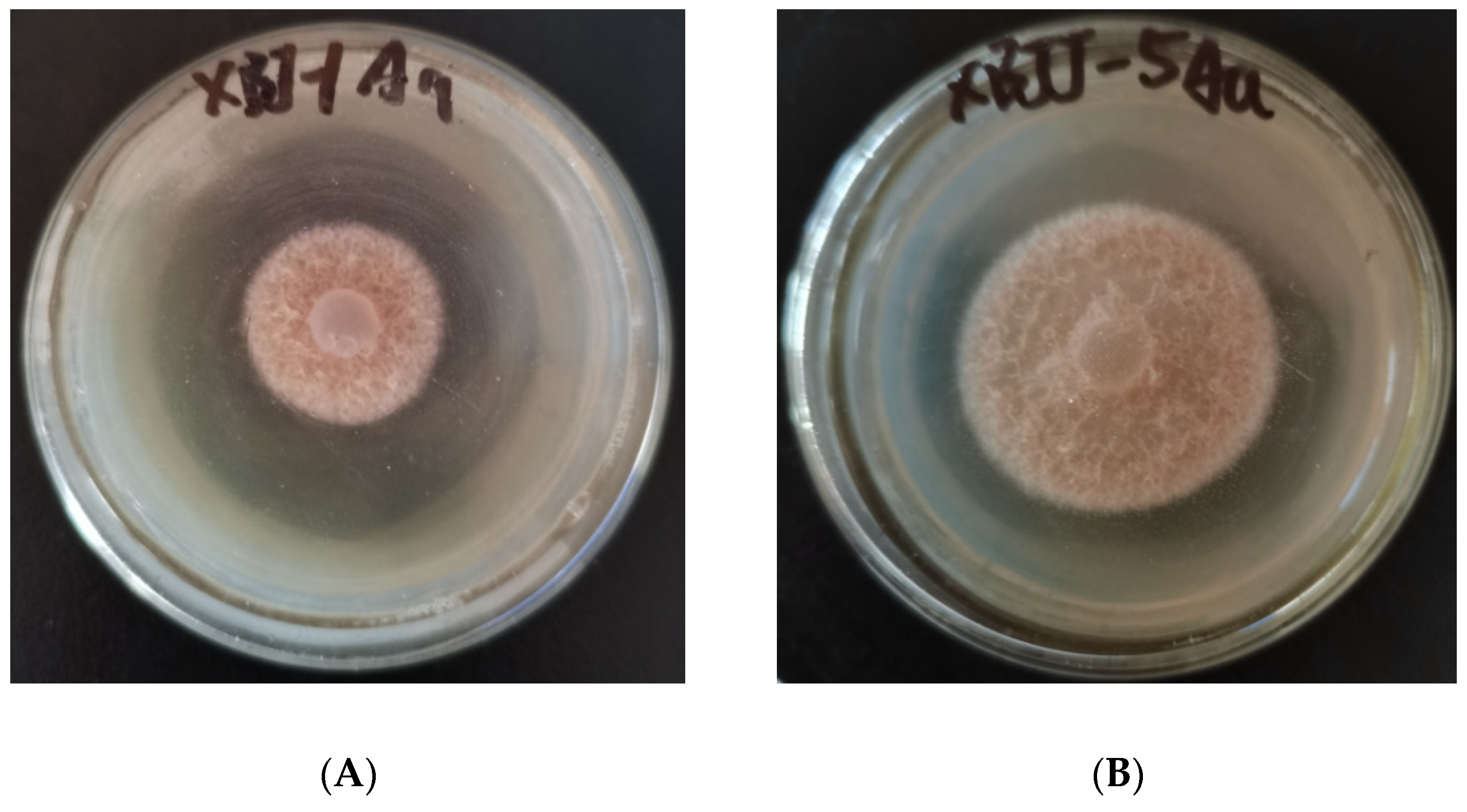 Molecules 27 02738 g001a