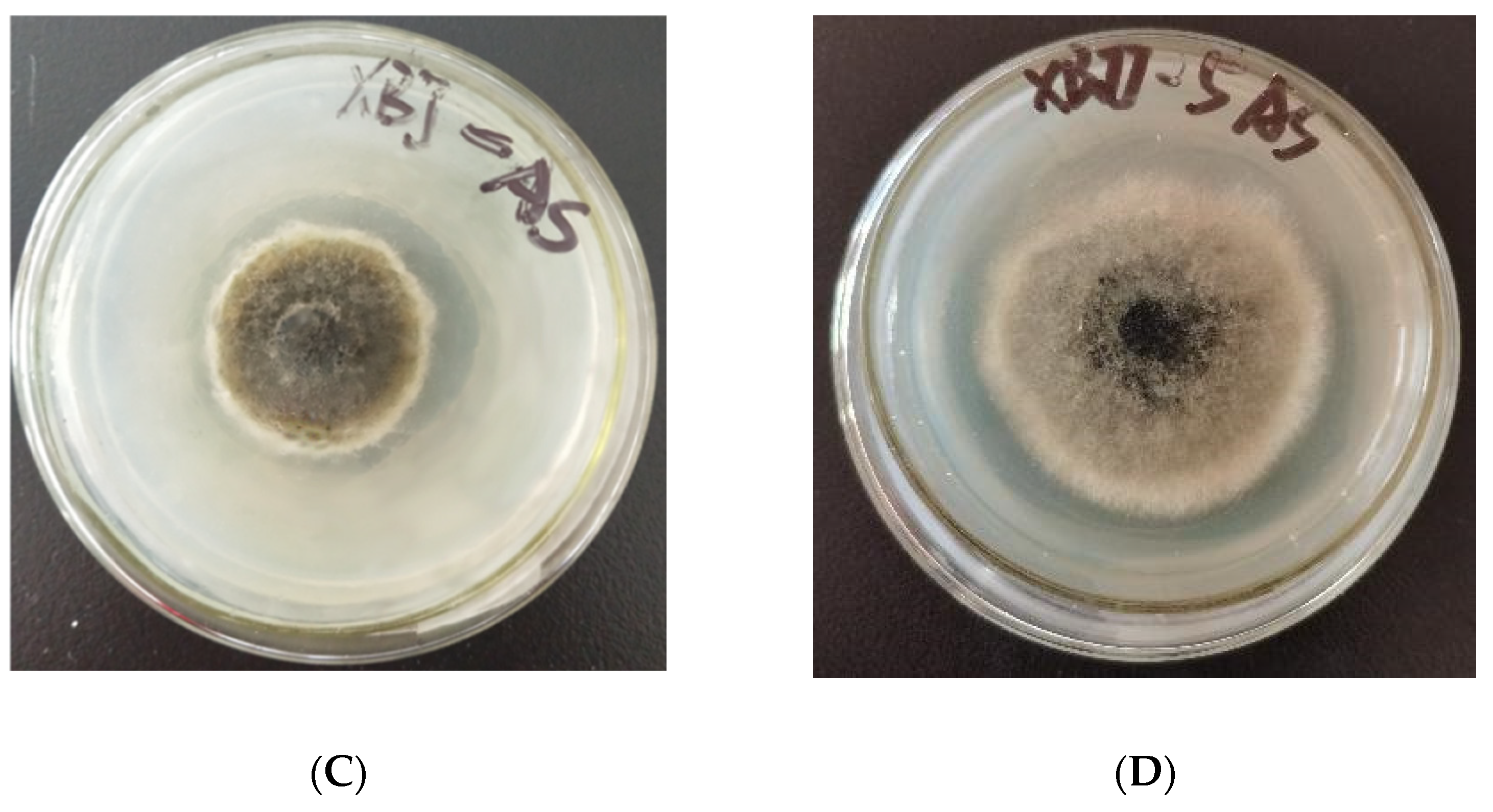Molecules 27 02738 g001b