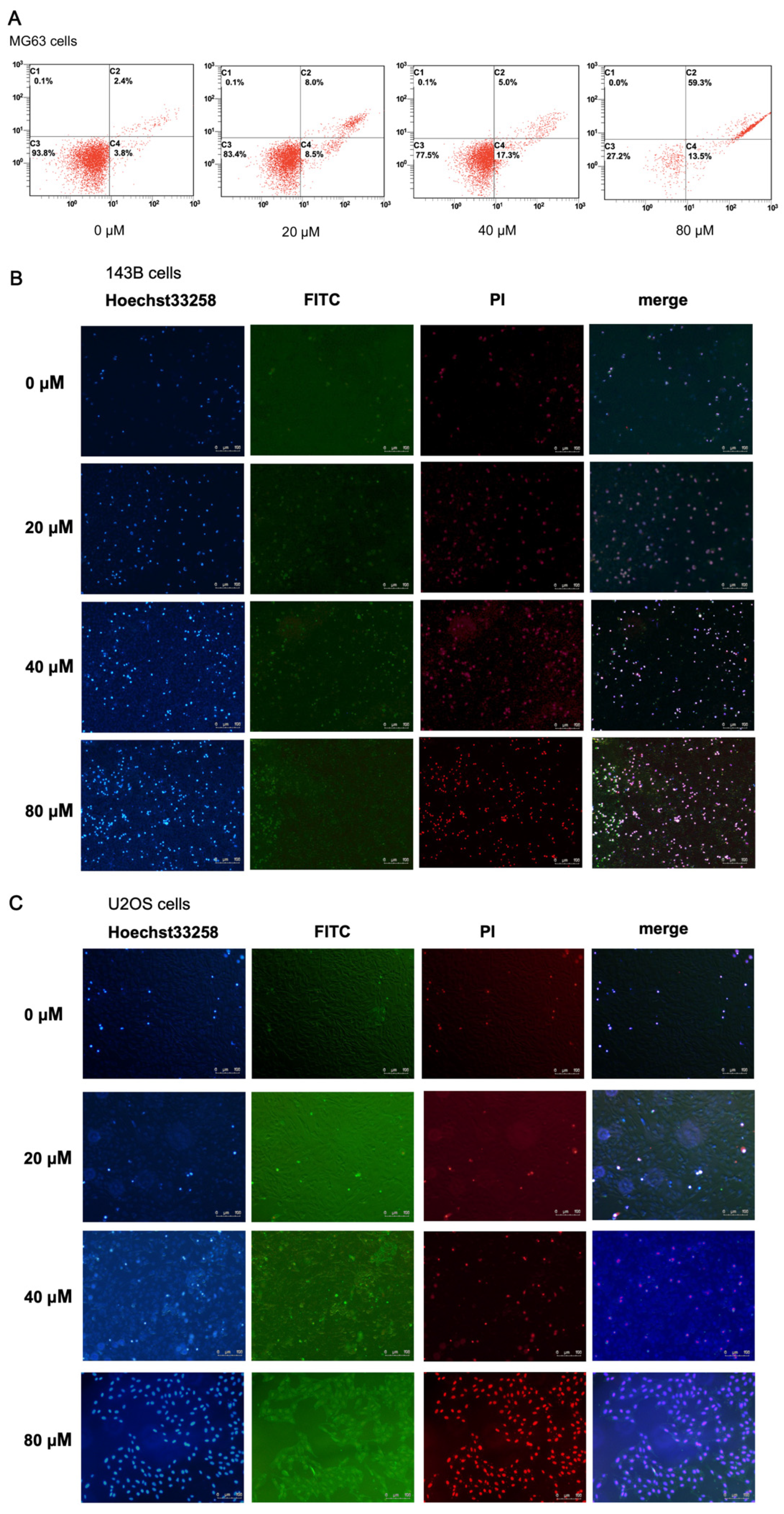 Molecules 27 02741 g003 Molecules 27 02741 g003