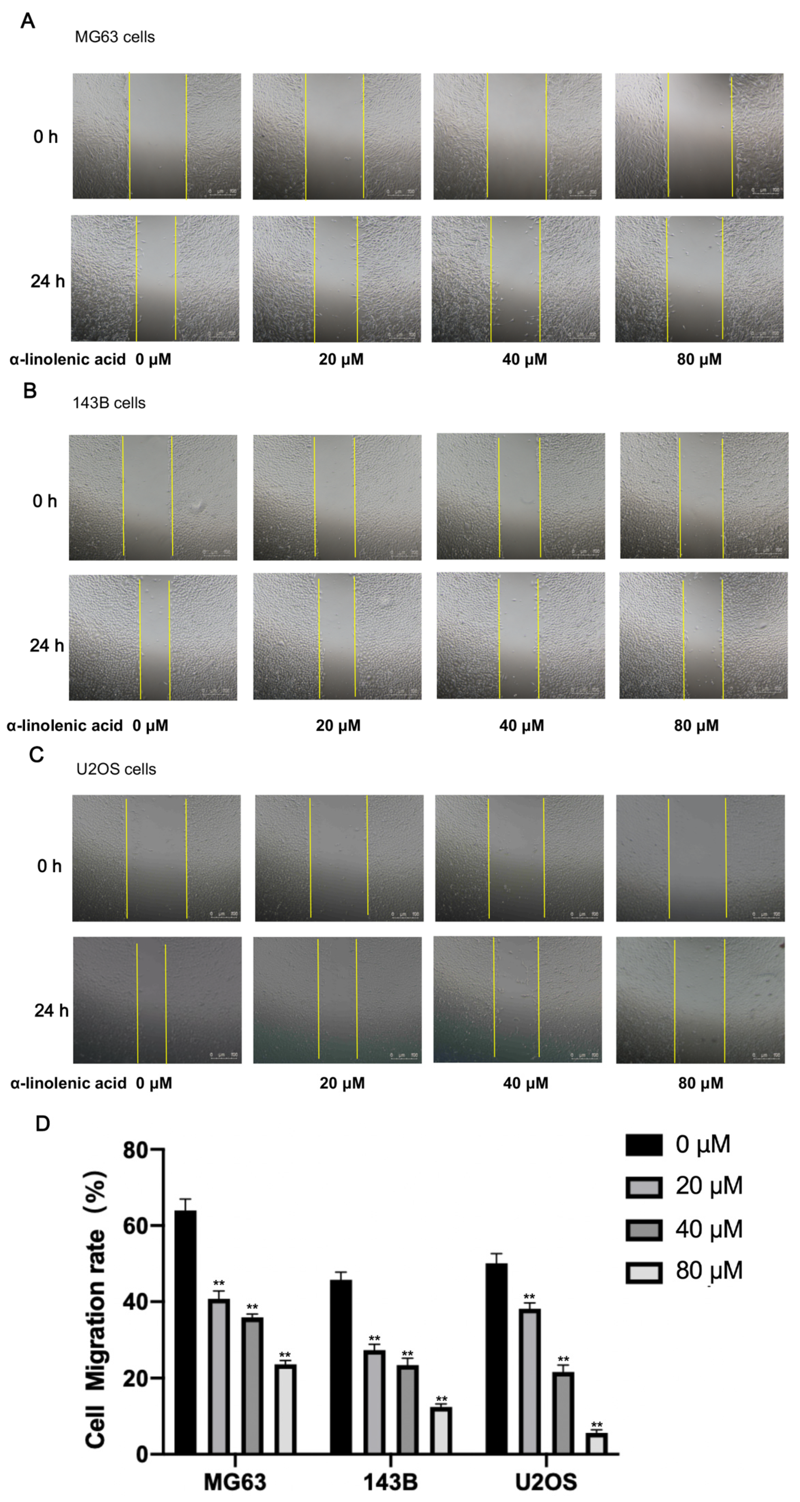 Molecules 27 02741 g004 Molecules 27 02741 g004