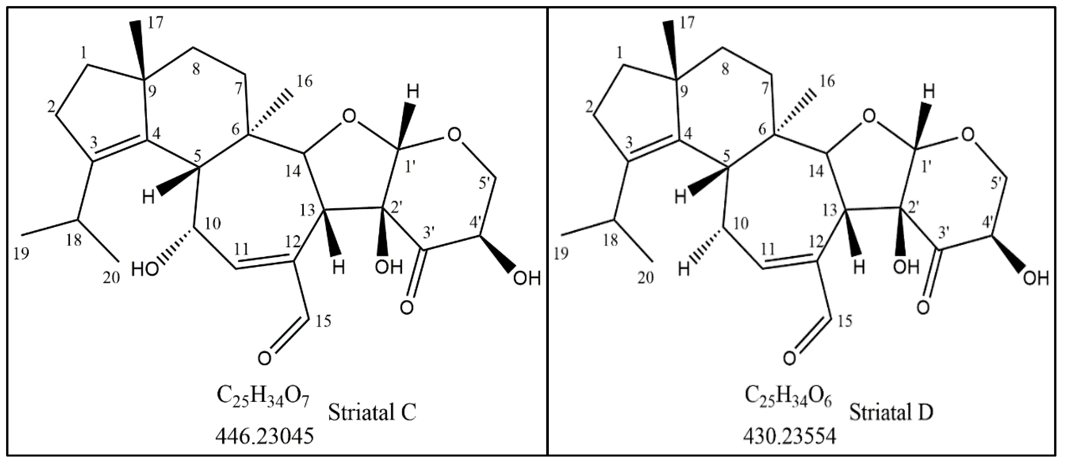 Molecules 27 02746 g002