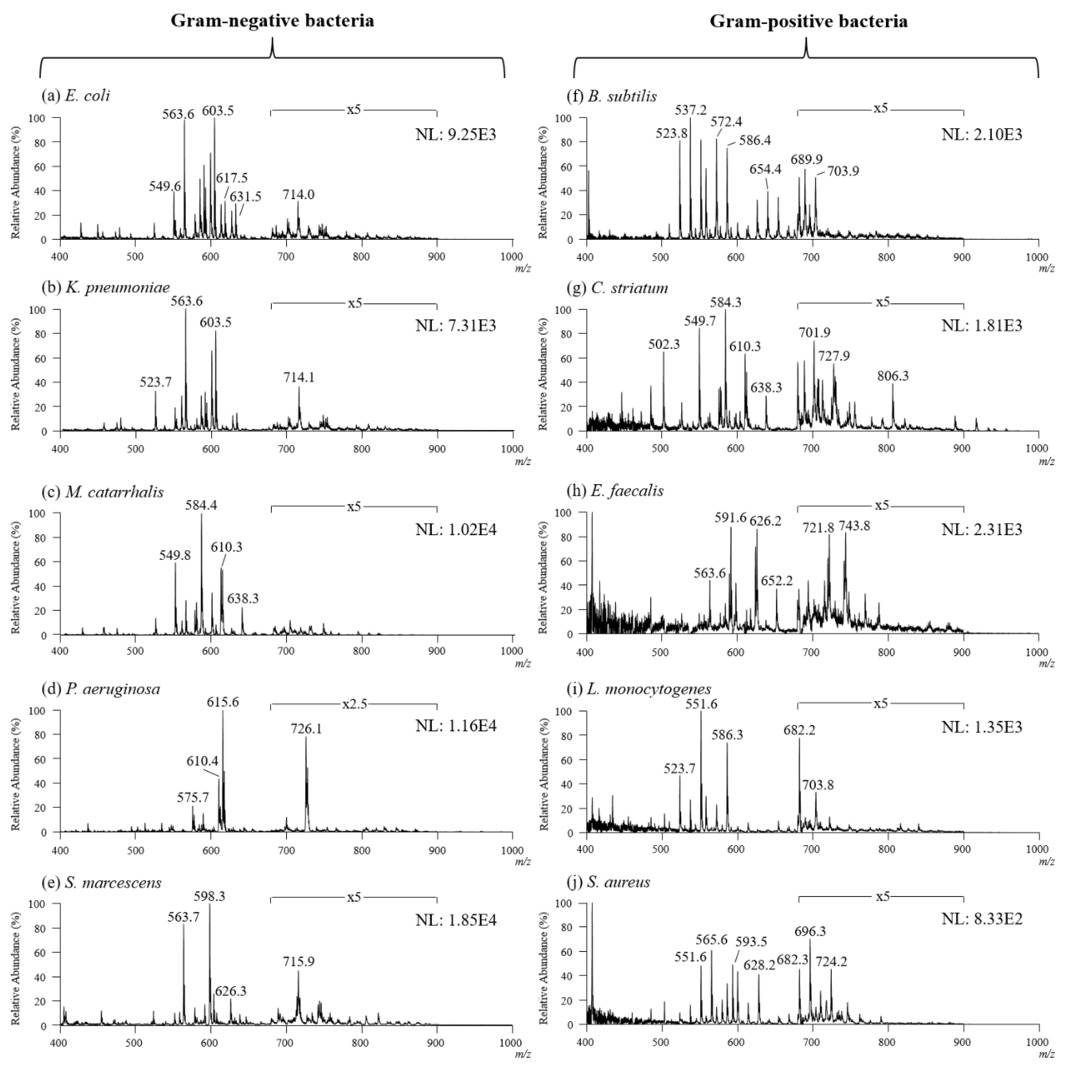 Molecules 27 02772 g004