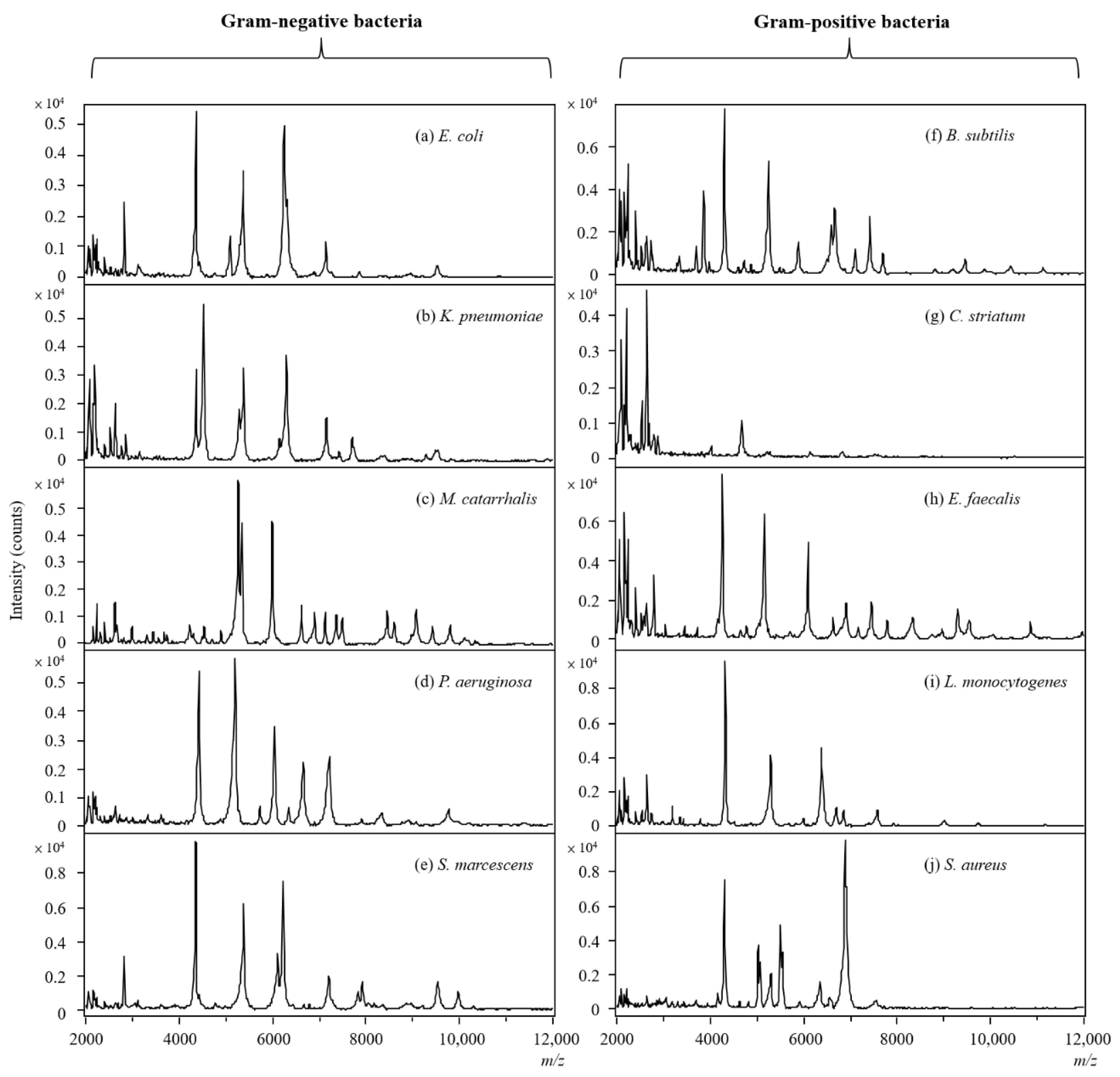 Molecules 27 02772 g006