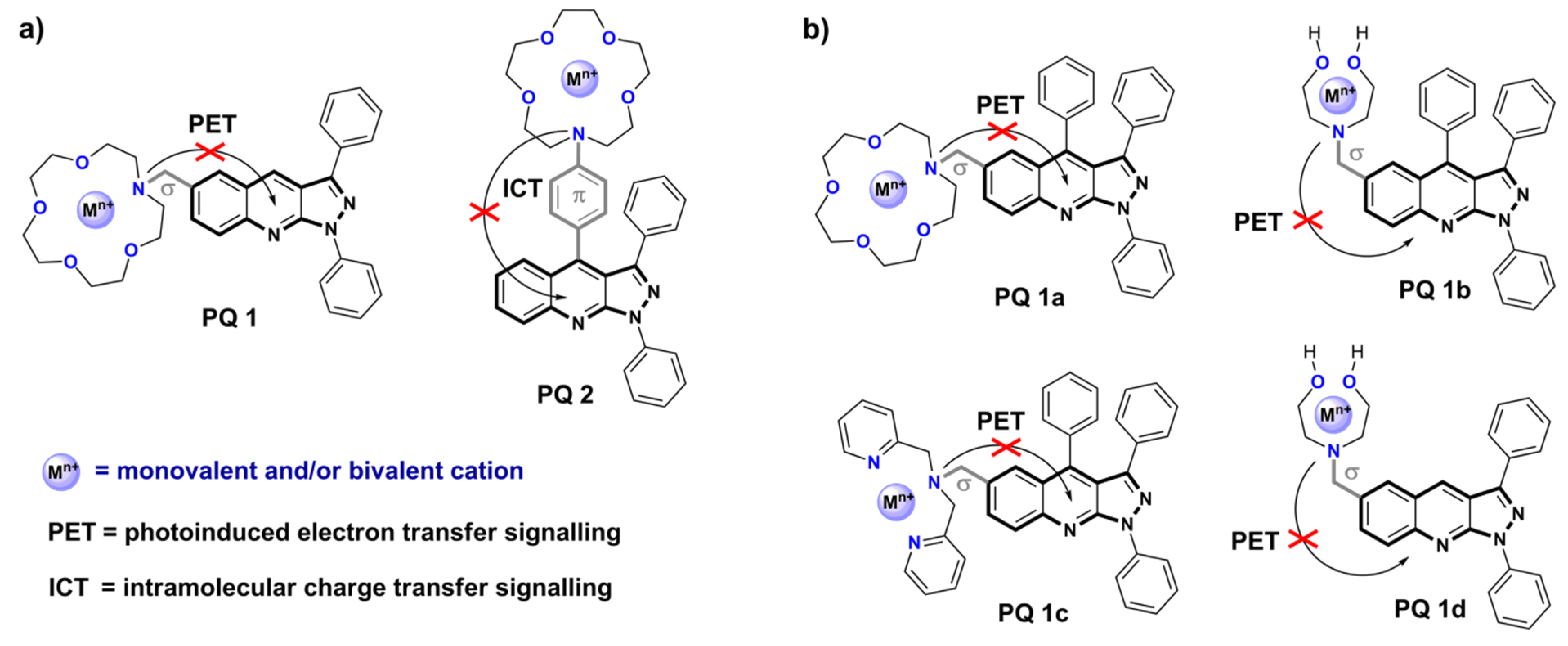 Molecules 27 02775 g016
