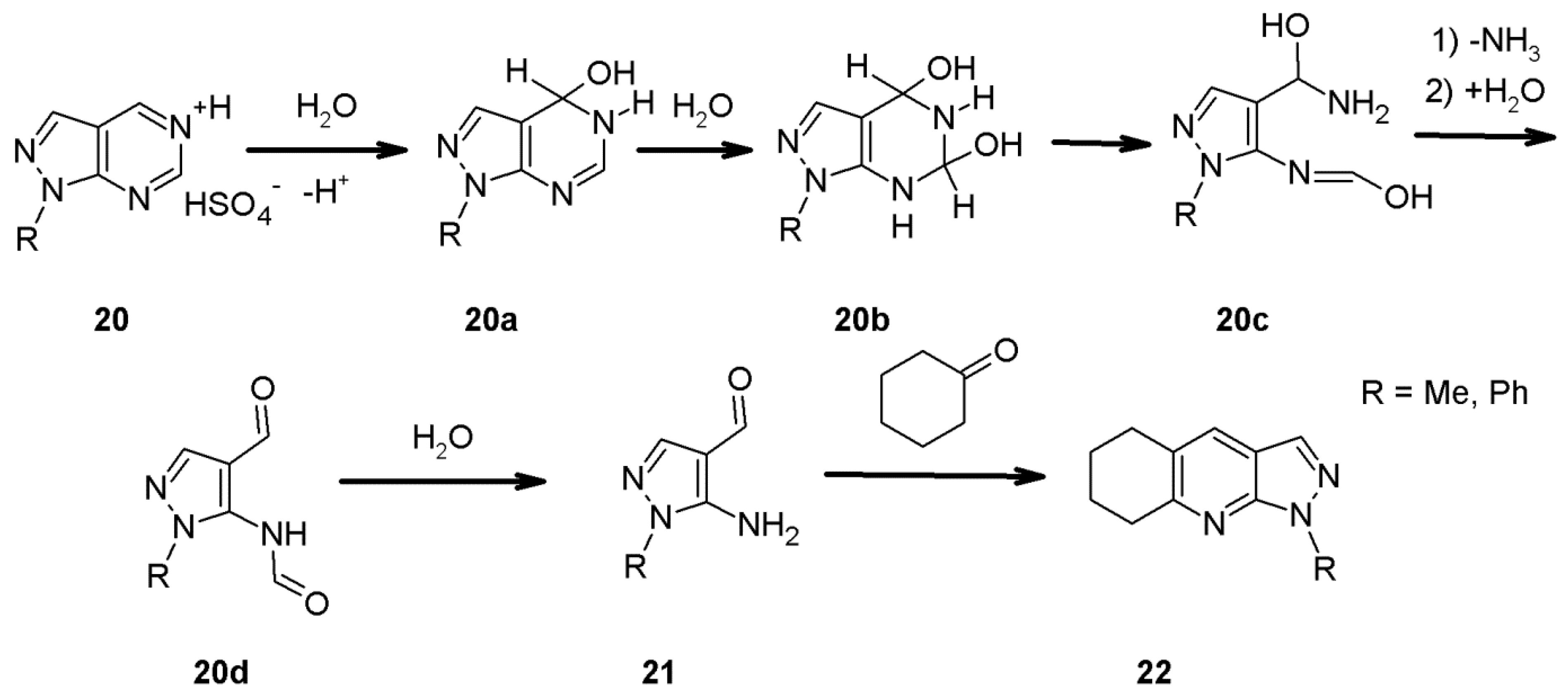 Molecules 27 02775 sch006