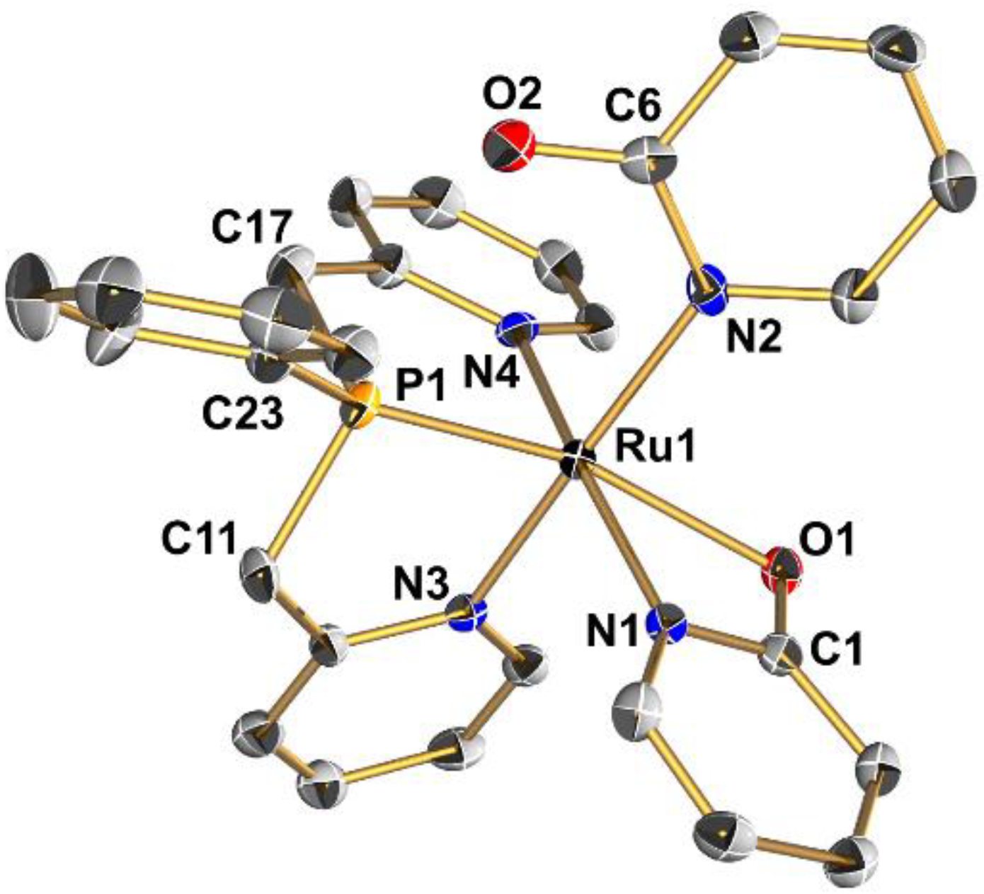 Molecules 27 02778 g001