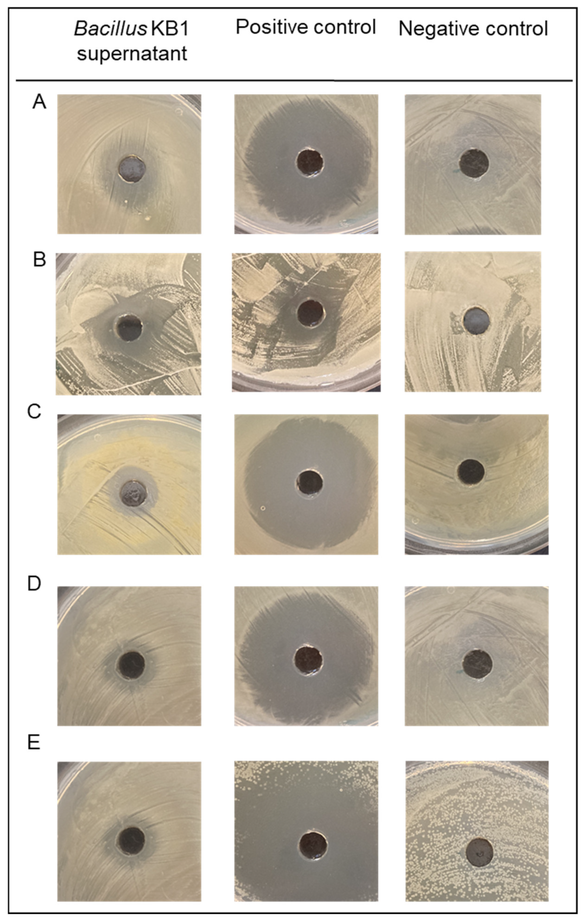 Molecules 27 02793 g002