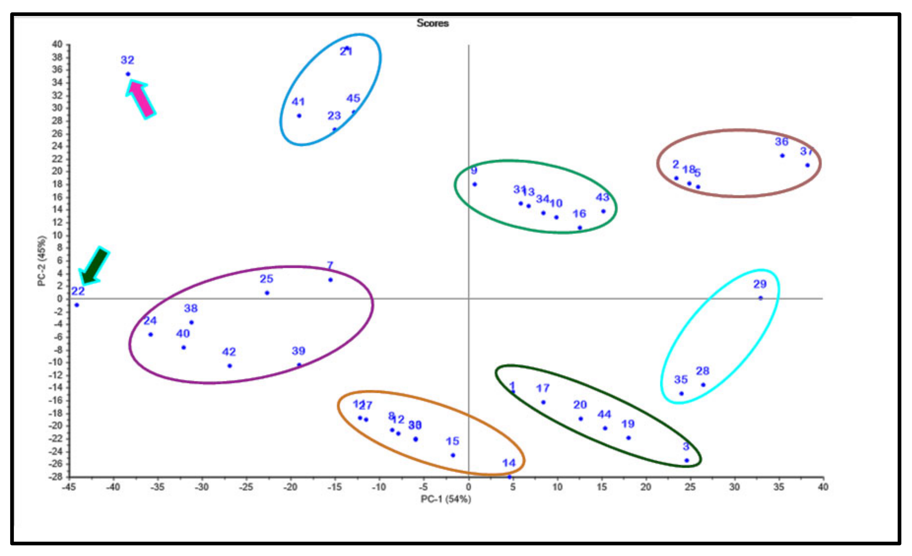 Molecules 27 02797 g005