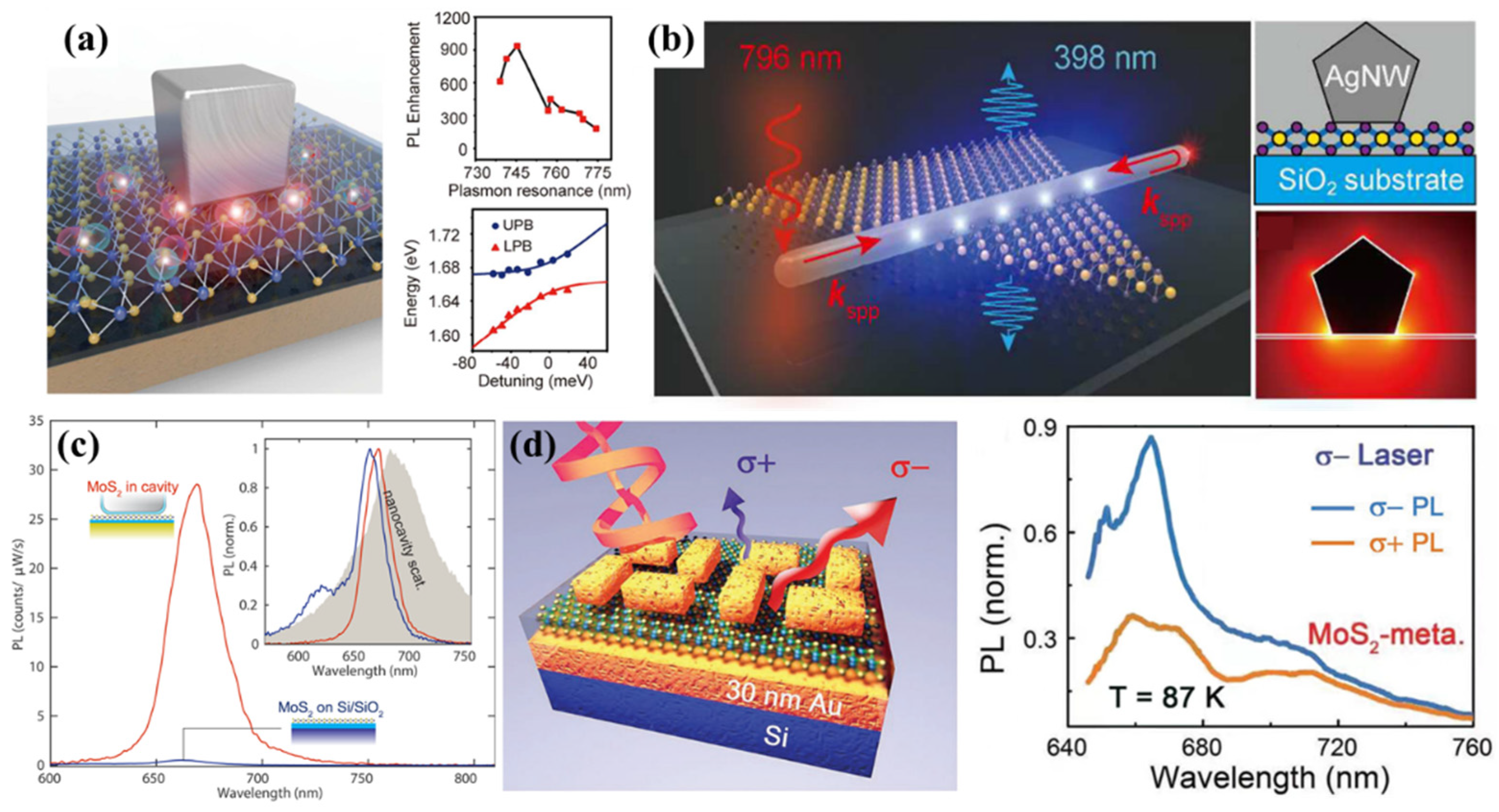 Molecules 27 02807 g003