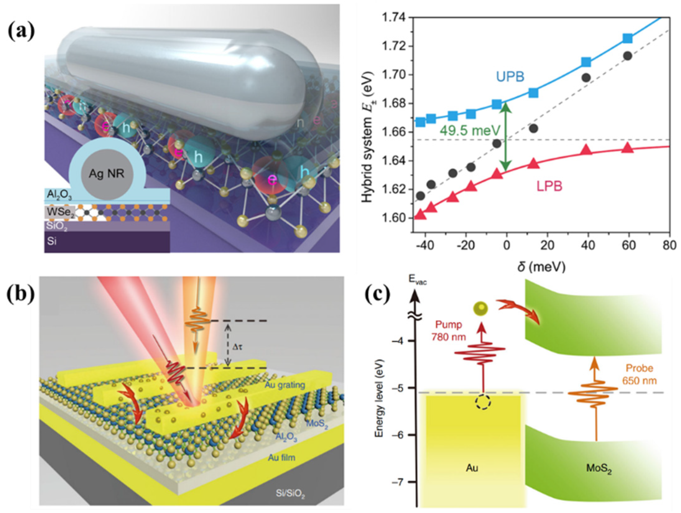 Molecules 27 02807 g004
