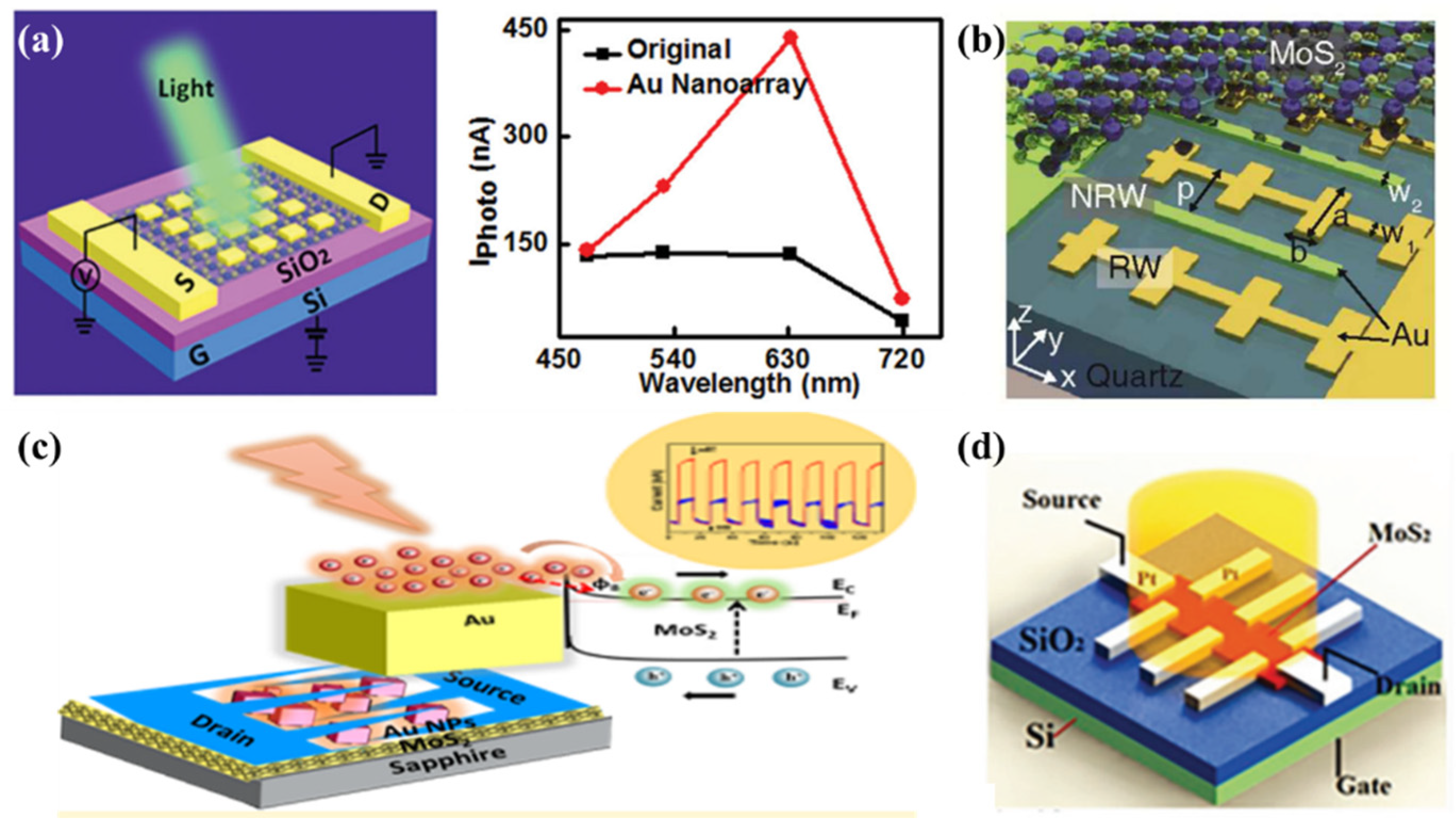 Molecules 27 02807 g006