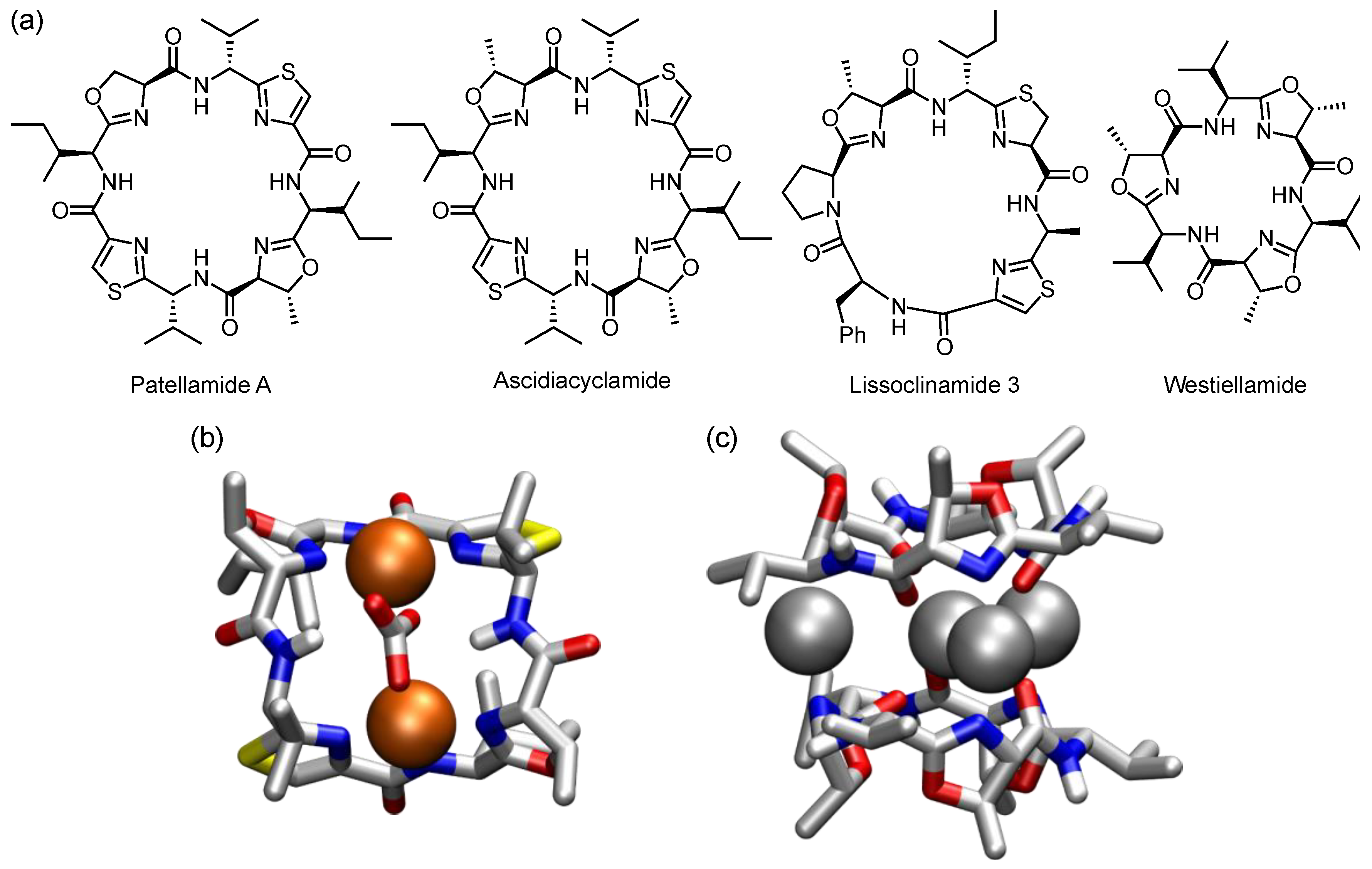 Molecules 27 02821 g015 Molecules 27 02821 g015
