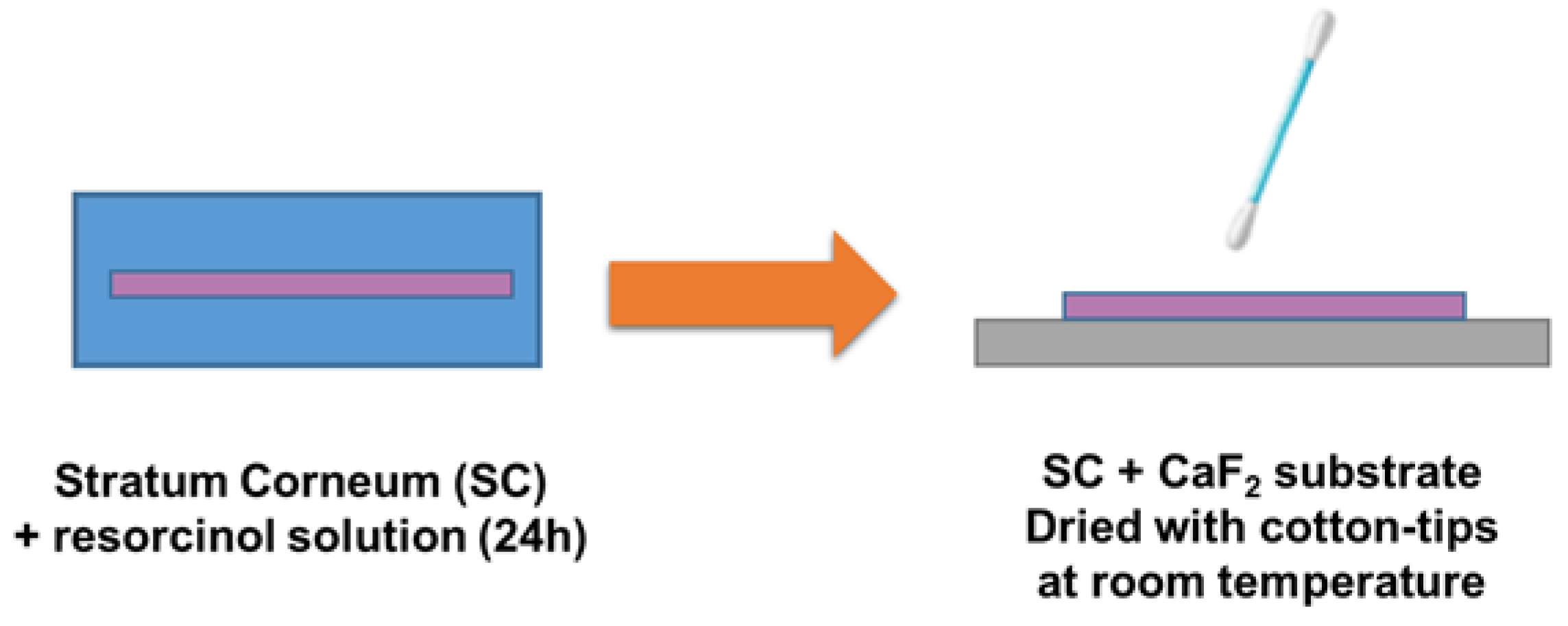 Molecules 27 02843 g001