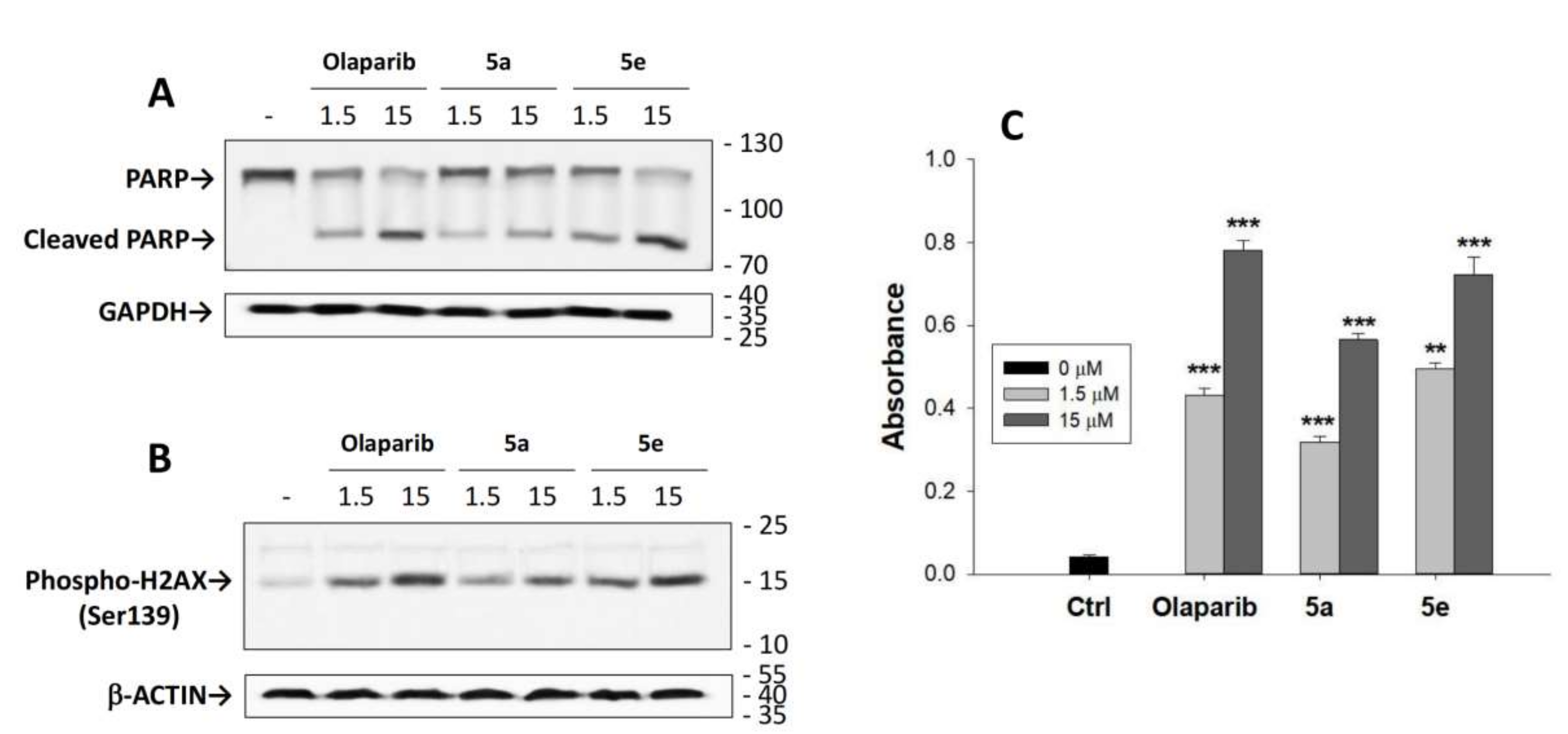 Molecules 27 02848 g003