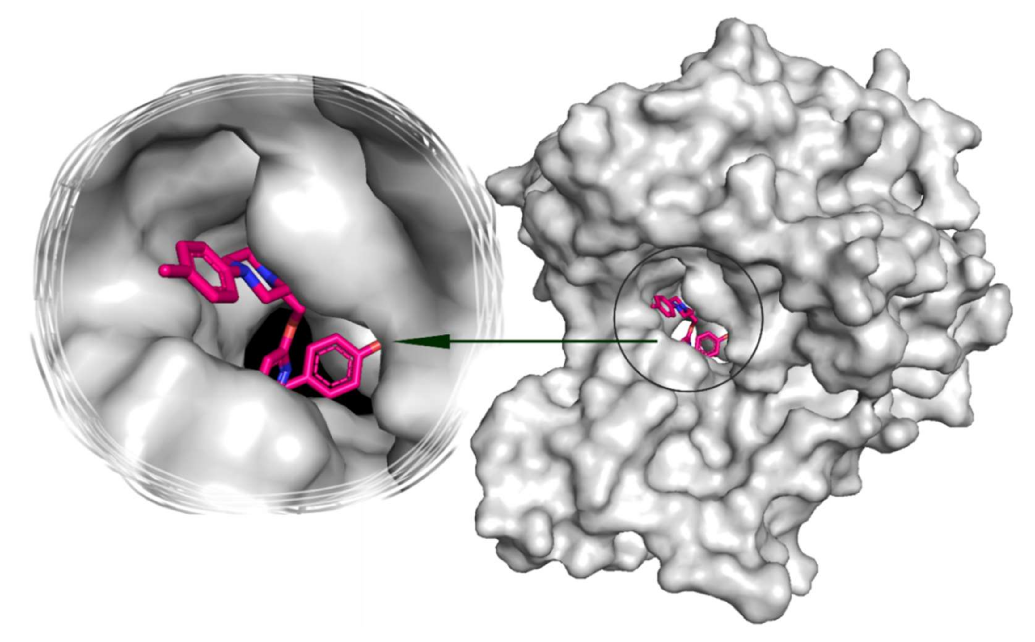 Molecules 27 02848 g007