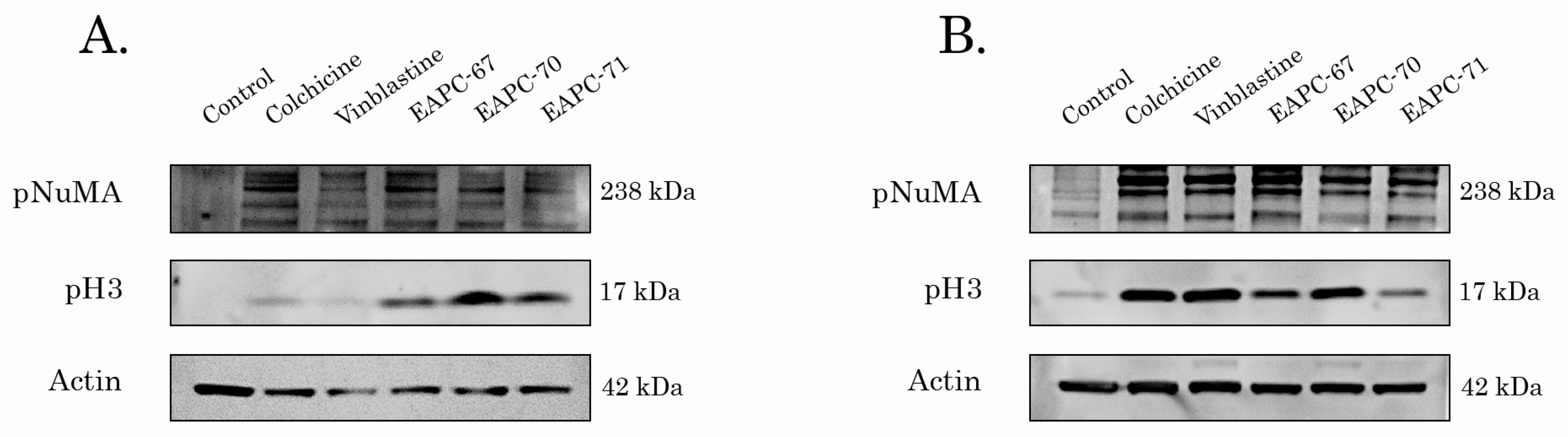 Molecules 27 02873 g002