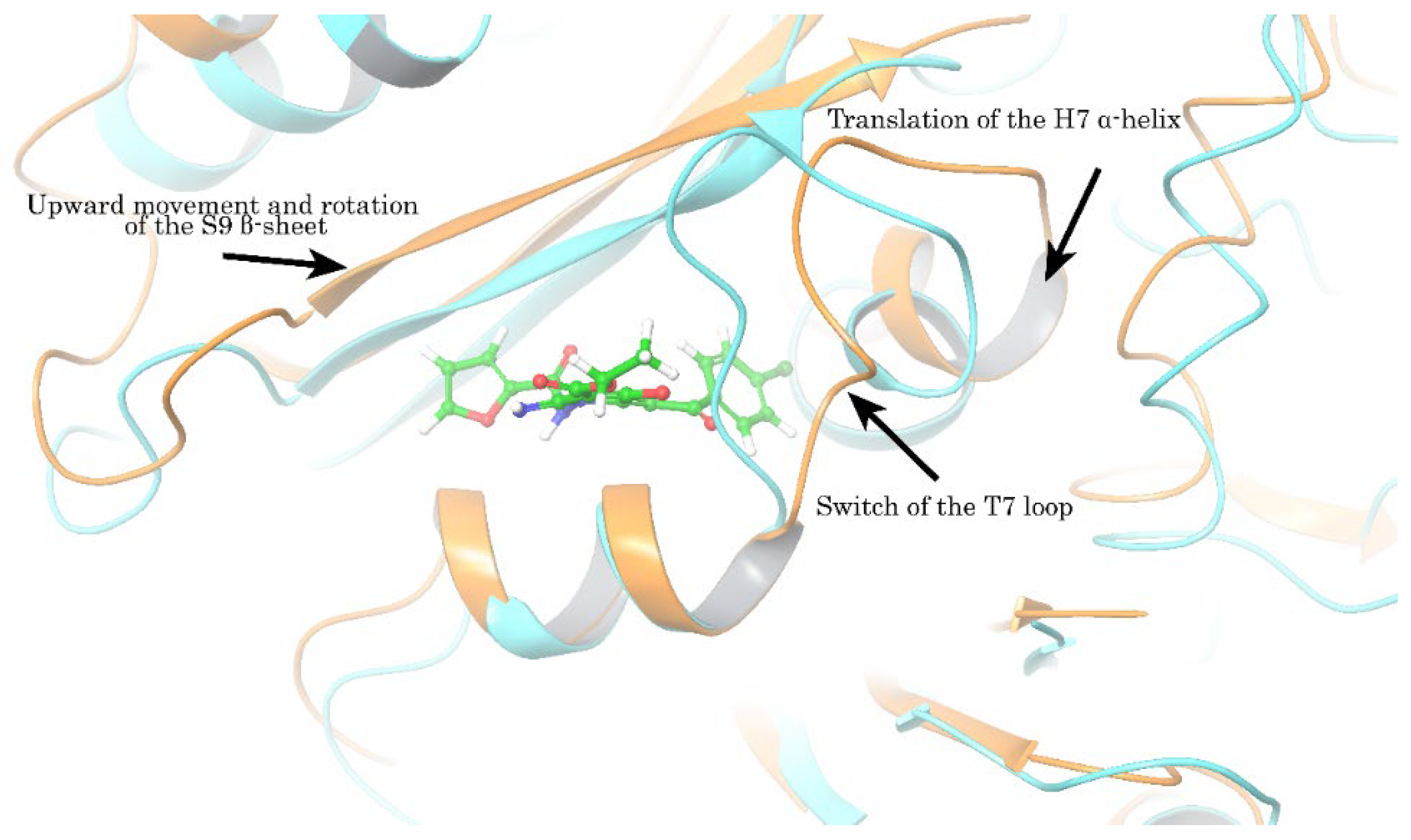 Molecules 27 02873 g011