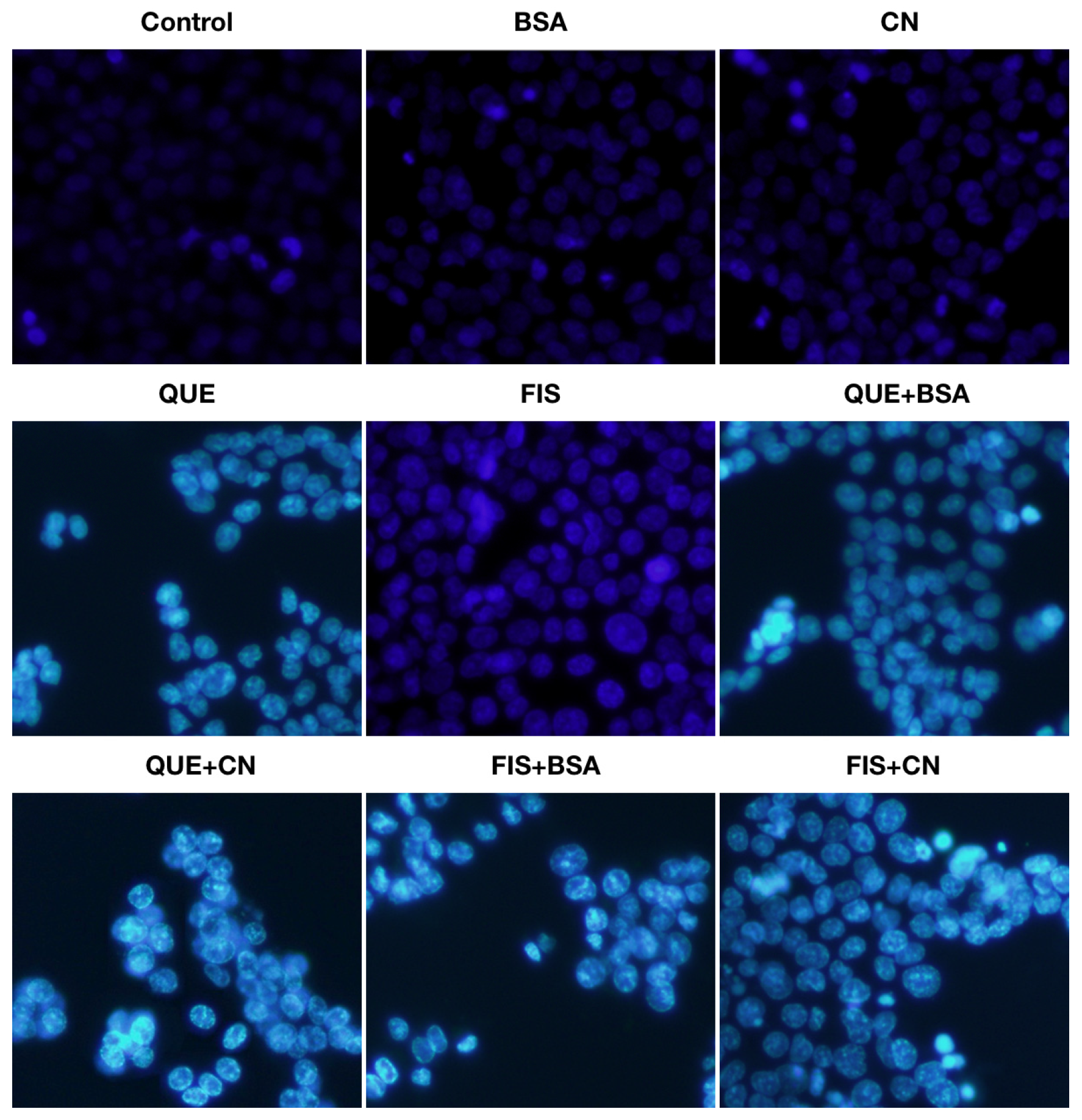 Molecules 27 02877 g003