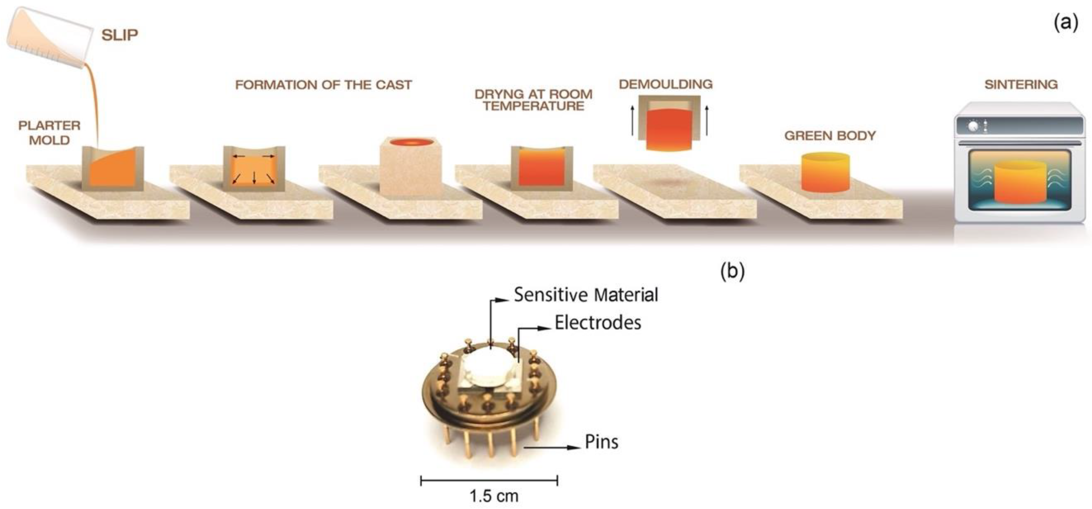 Molecules 27 02889 g001
