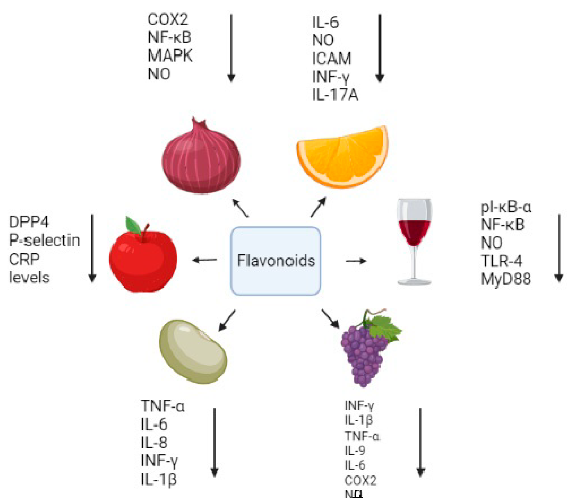 Flavonoids and joint health