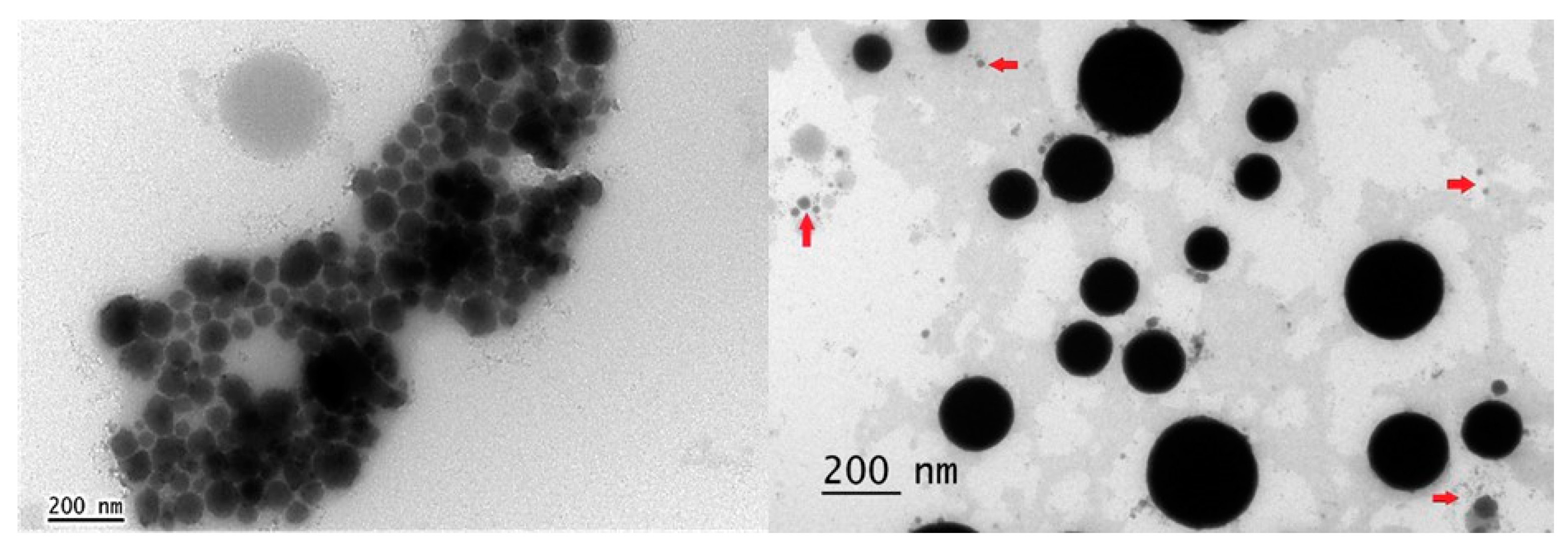 Molecules 27 02975 g006