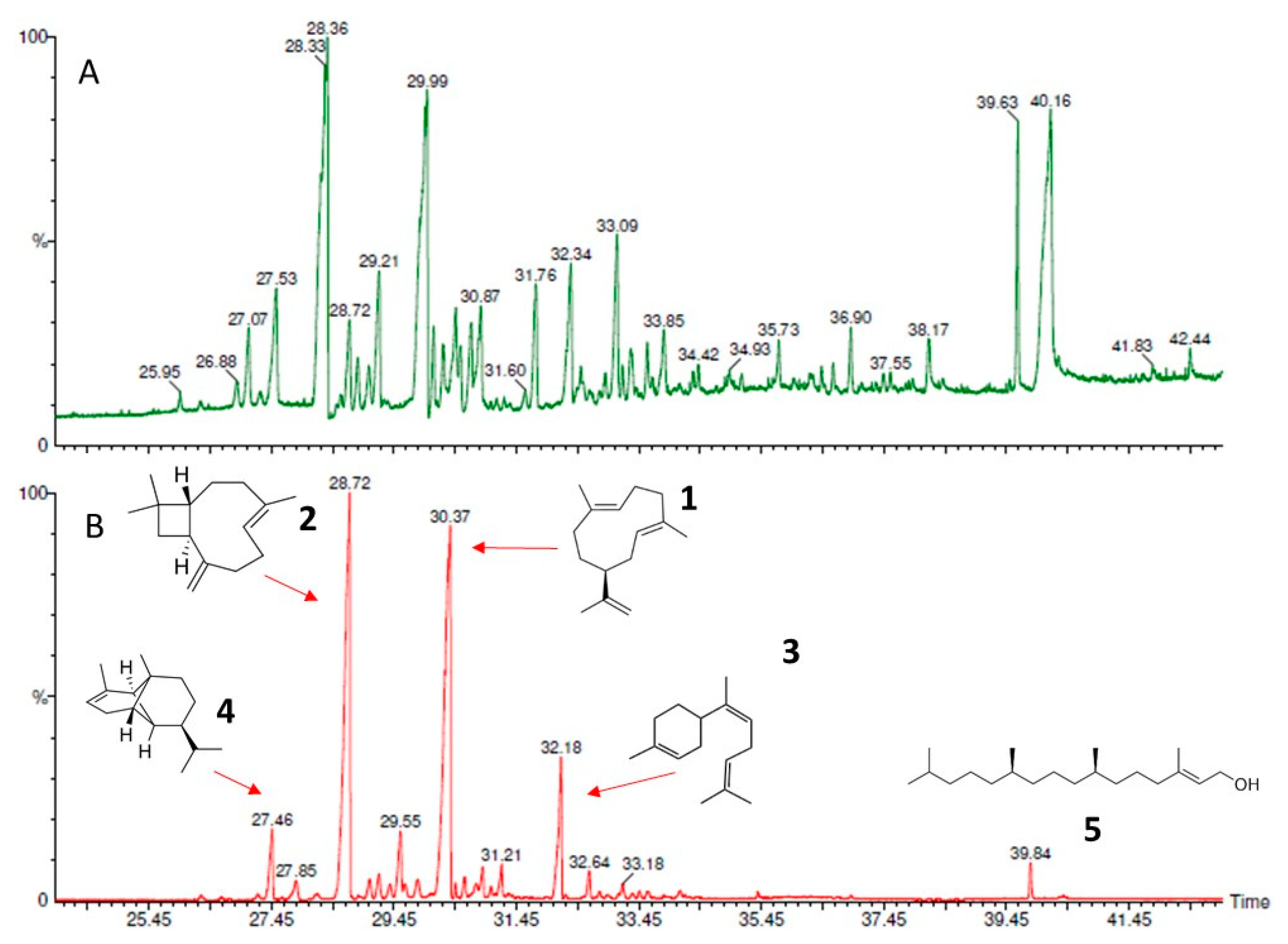 Molecules 27 02975 g008