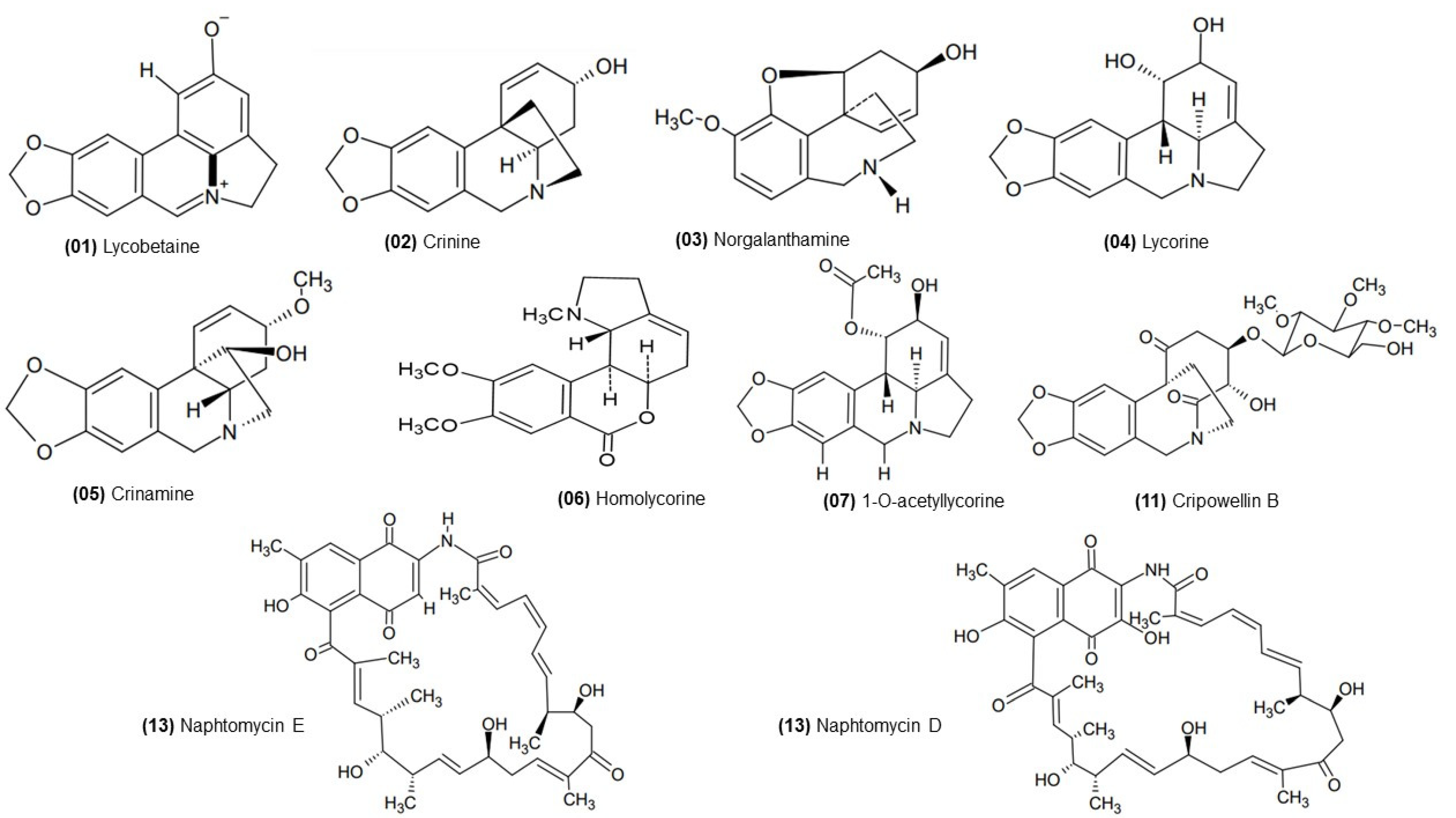 Molecules 27 02976 g003